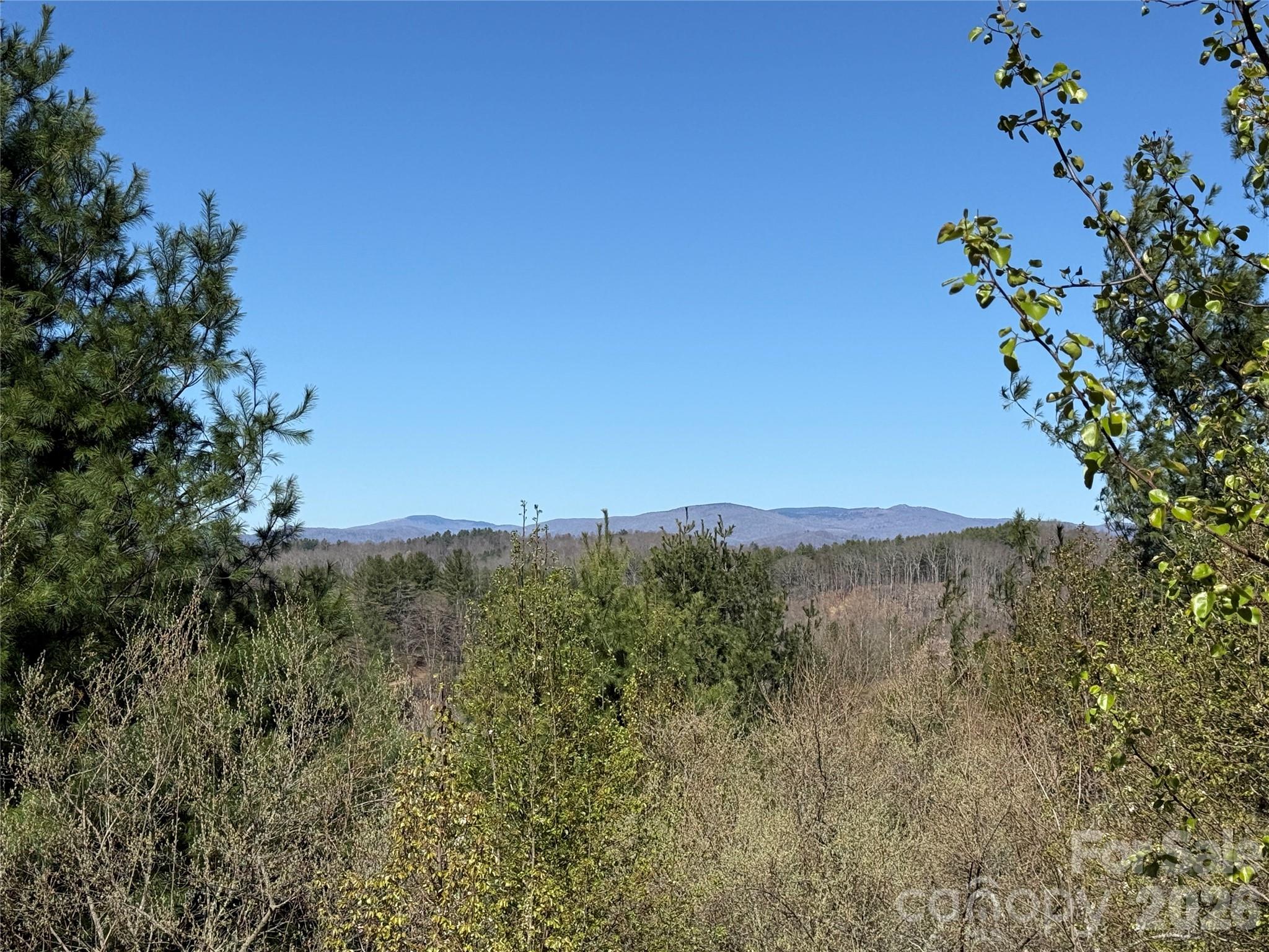Tbd (lot 21 & 22) Martha Lane 21 & 22 Property Photo 11