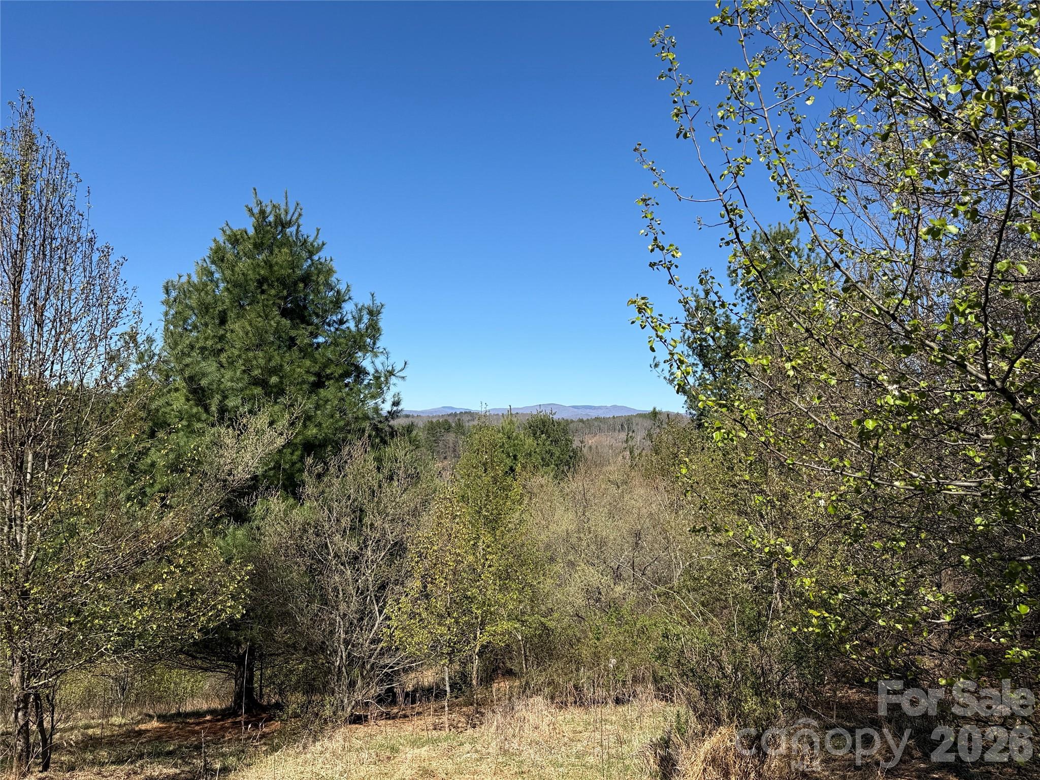 Tbd (lot 21 & 22) Martha Lane 21 & 22 Property Photo 12