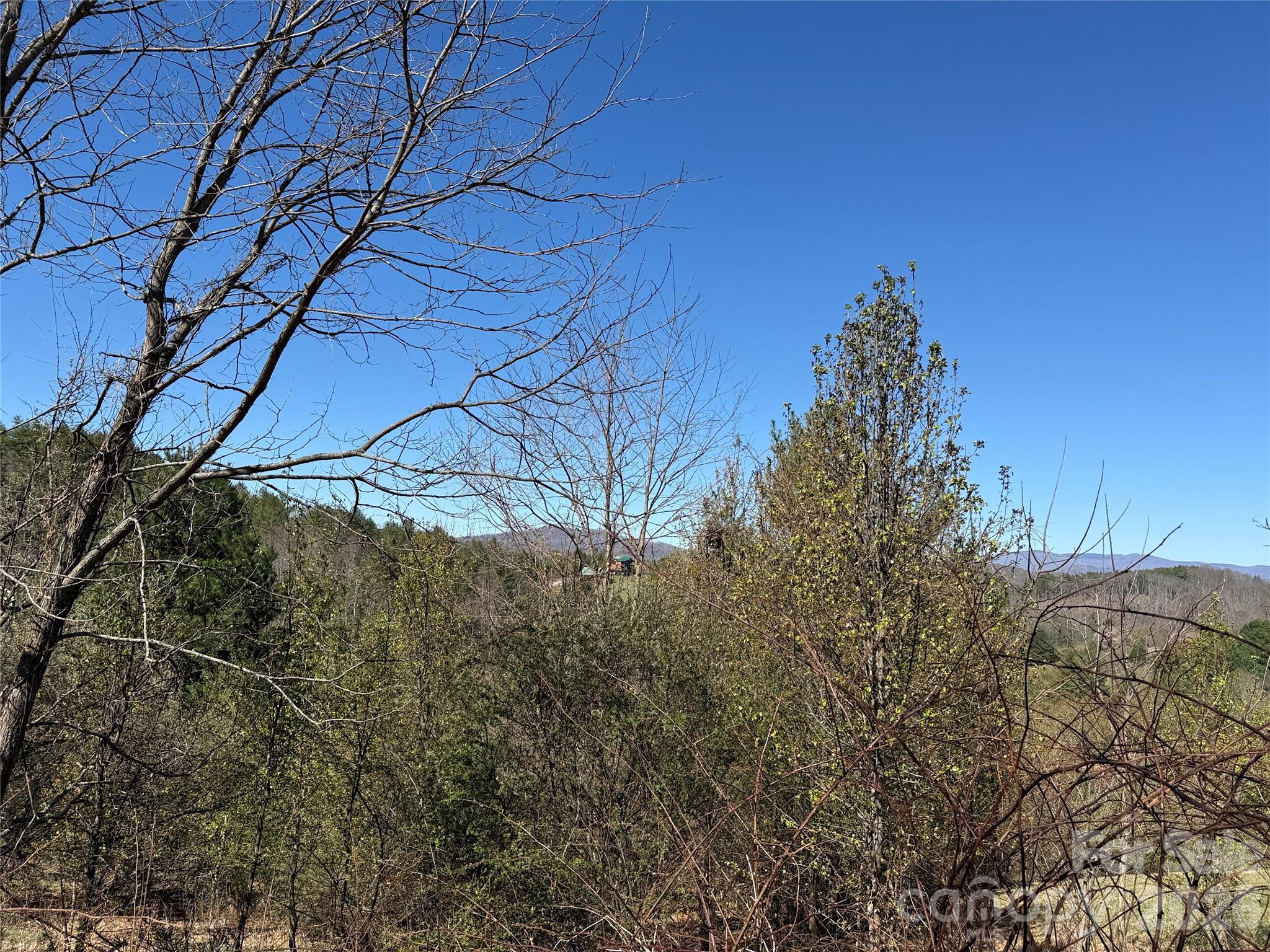 Tbd (lot 21 & 22) Martha Lane 21 & 22 Property Photo 13
