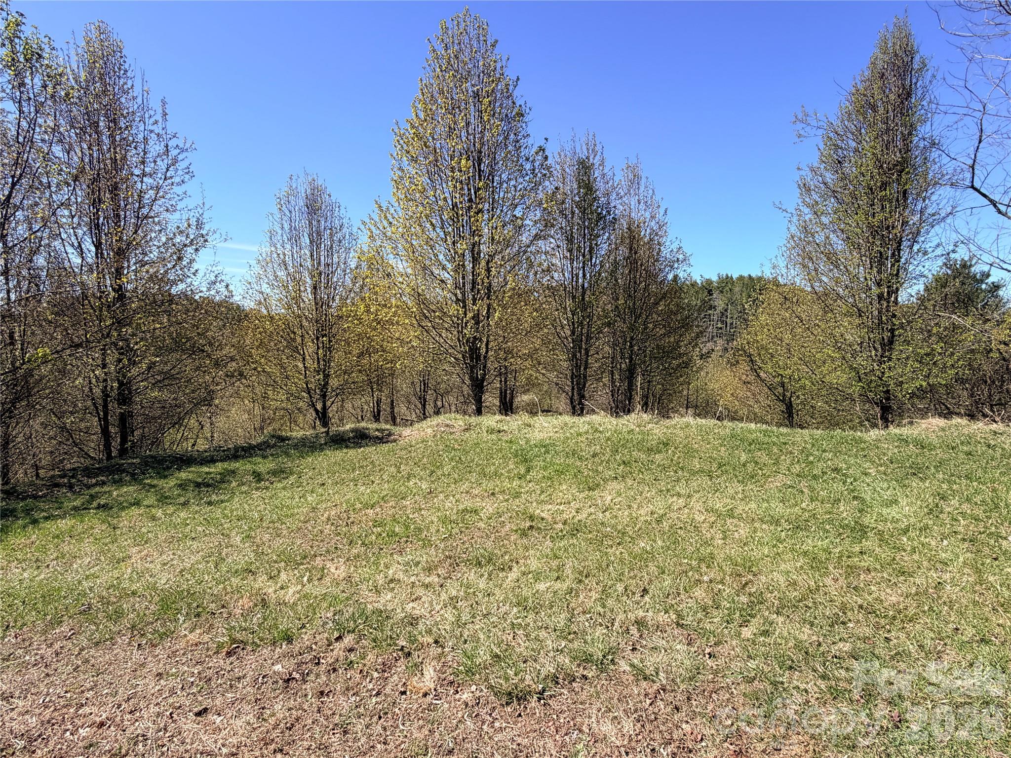 Tbd (lot 21 & 22) Martha Lane 21 & 22 Property Photo 15