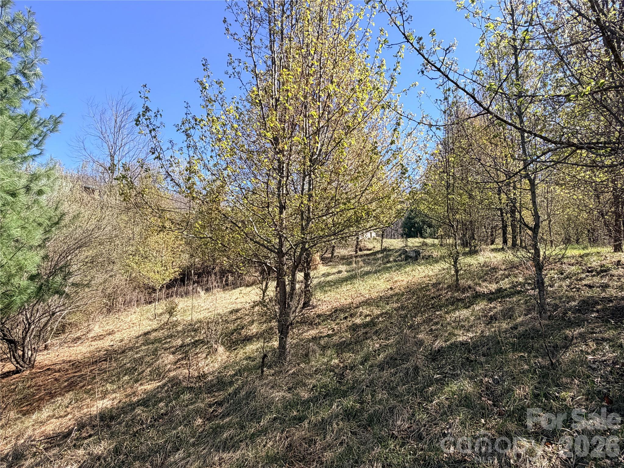 Tbd (lot 21 & 22) Martha Lane 21 & 22 Property Photo 19