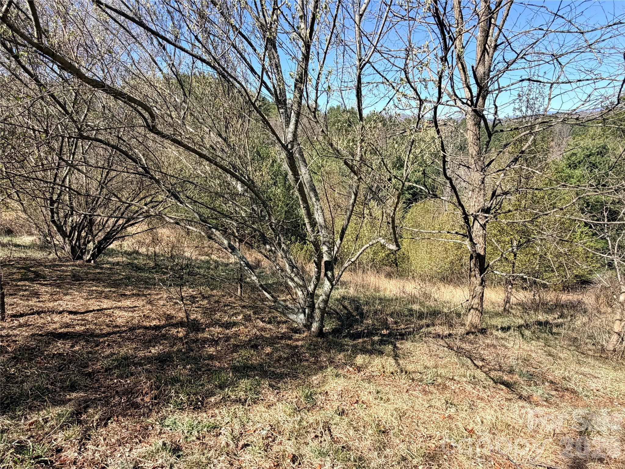 Tbd (lot 21 & 22) Martha Lane 21 & 22 Property Photo 20