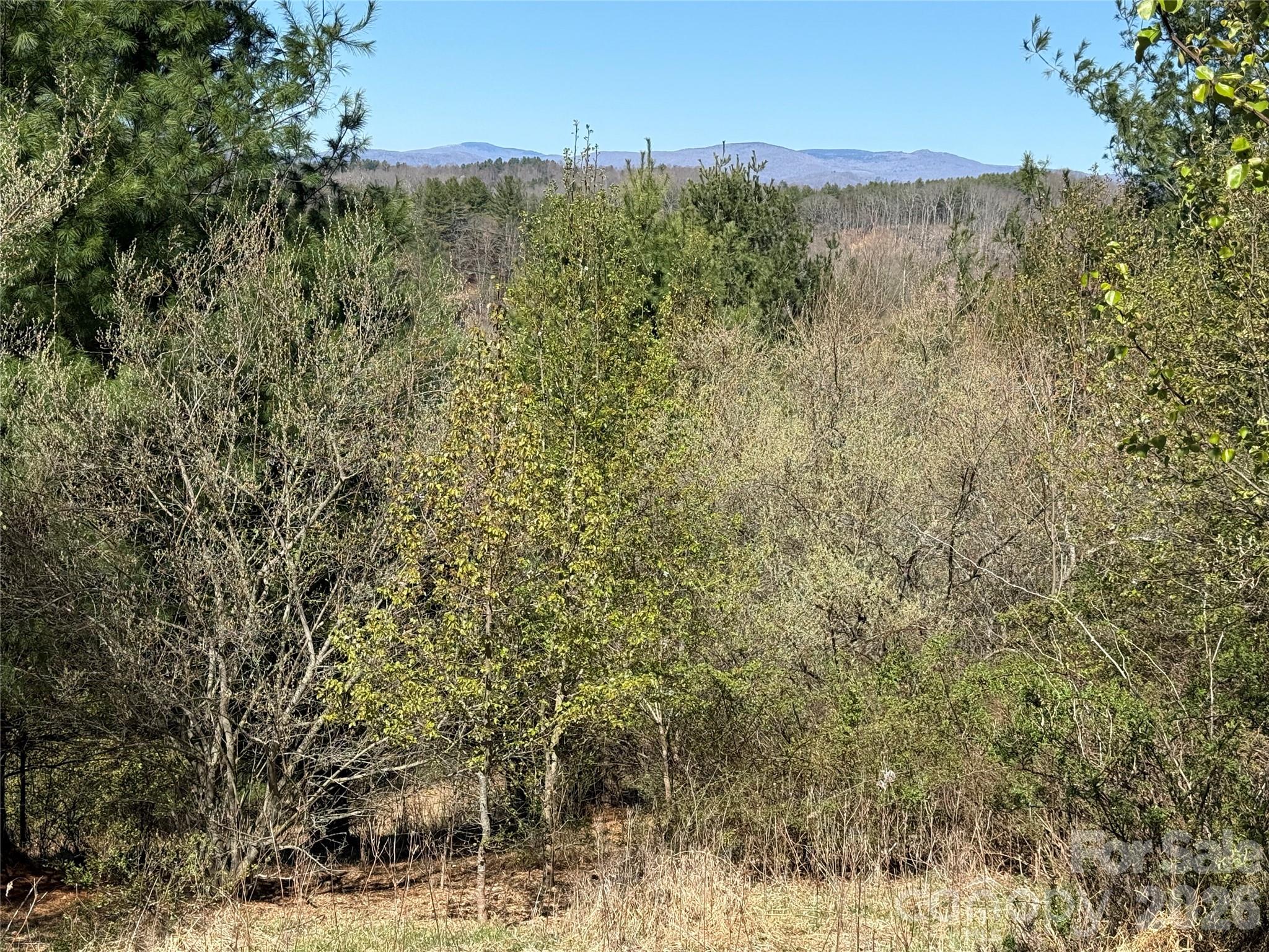 Tbd (lot 21 & 22) Martha Lane 21 & 22 Property Photo 24