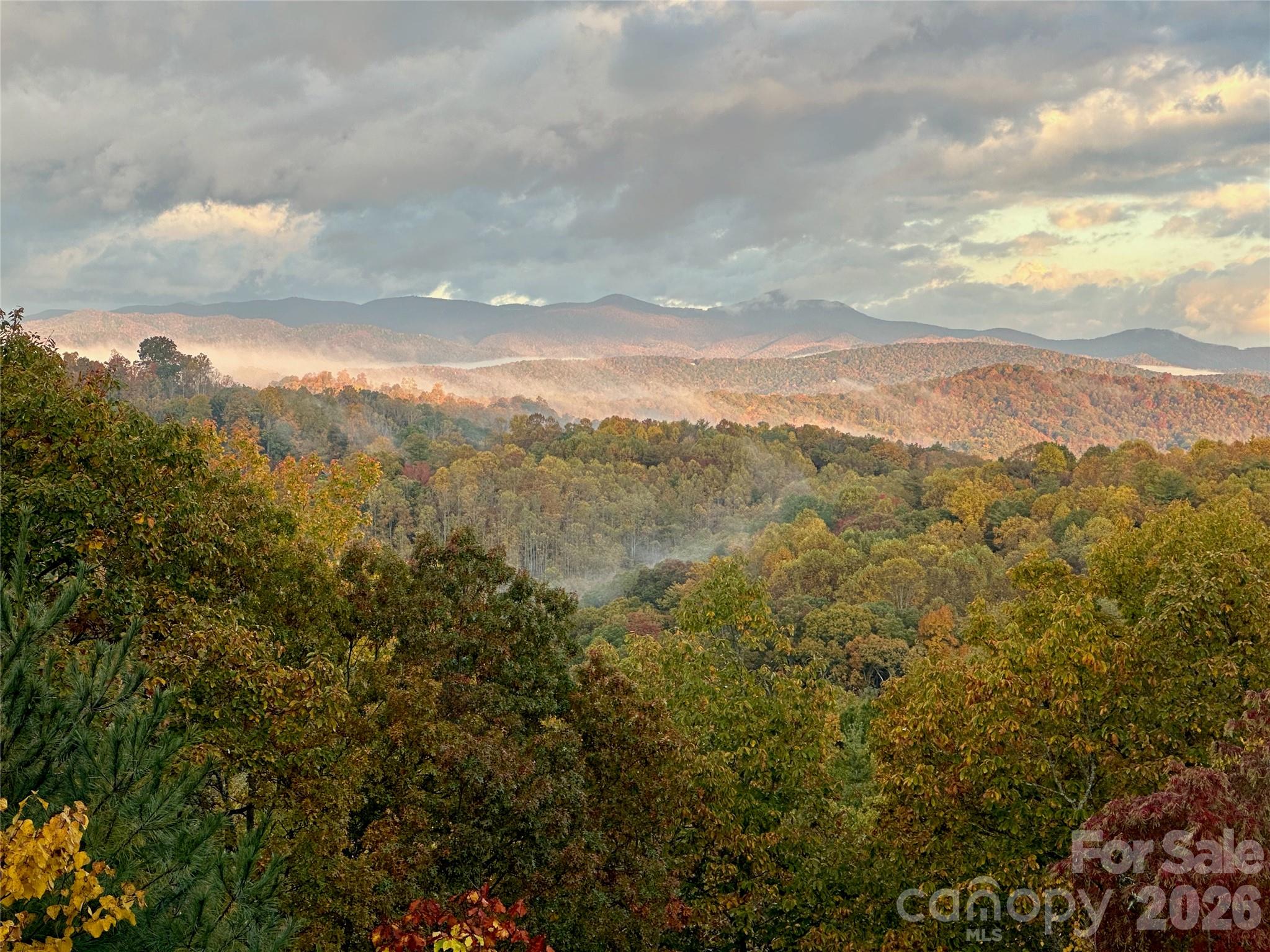 135 Crossvine Trail Property Photo 42