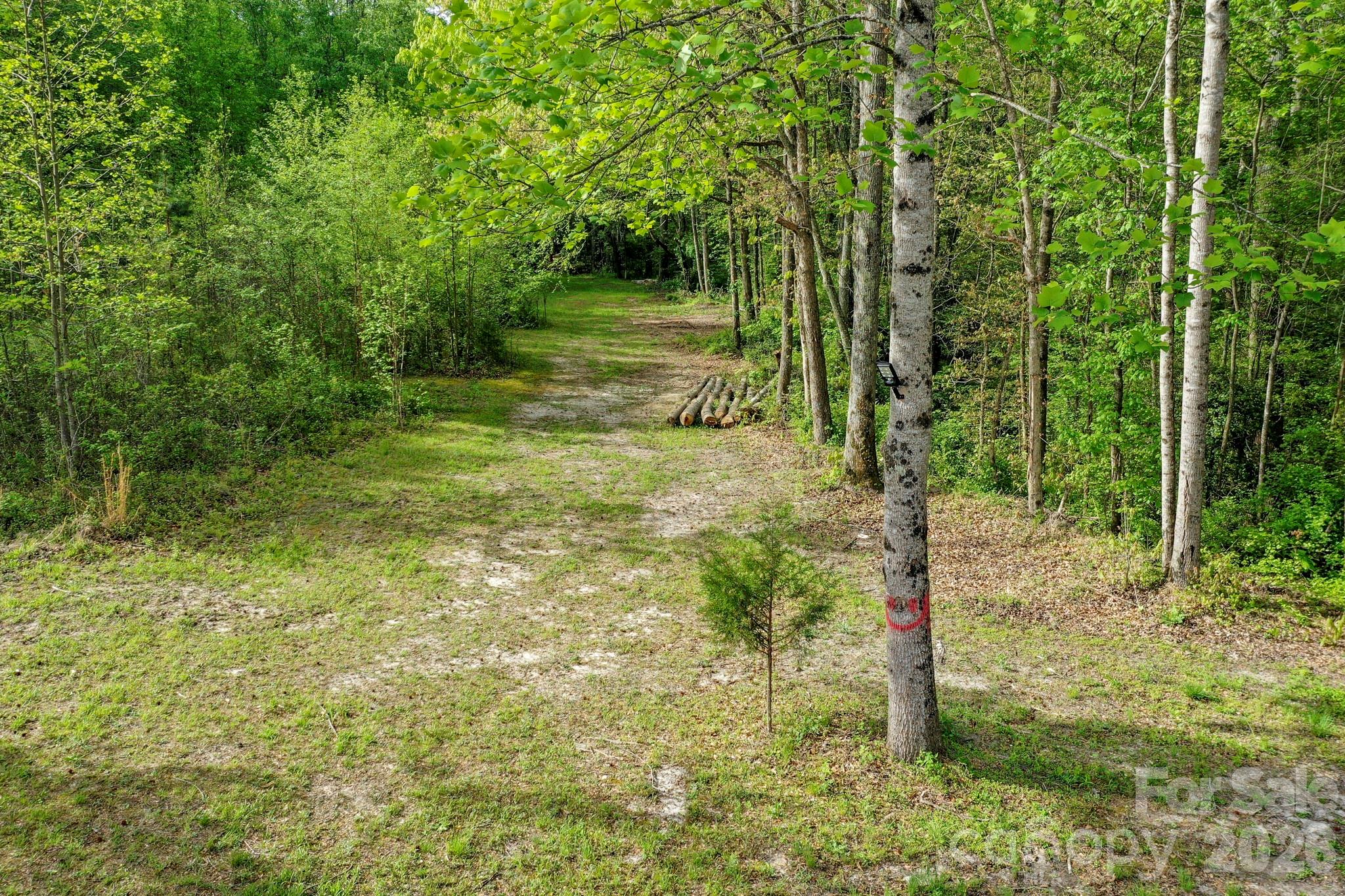 168 Robert Church Road Property Photo 28