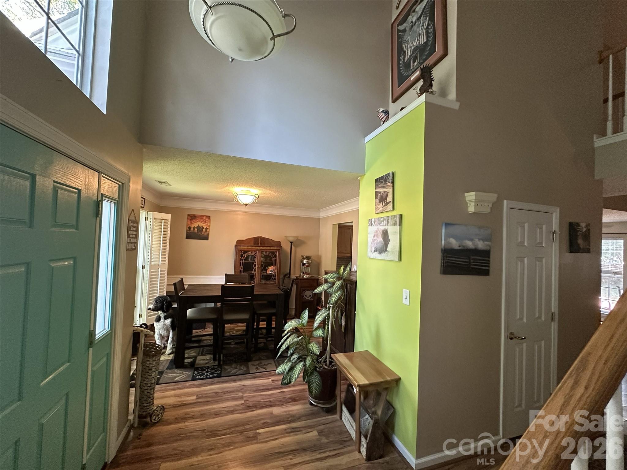 113 Old Willow Road Property Photo 4