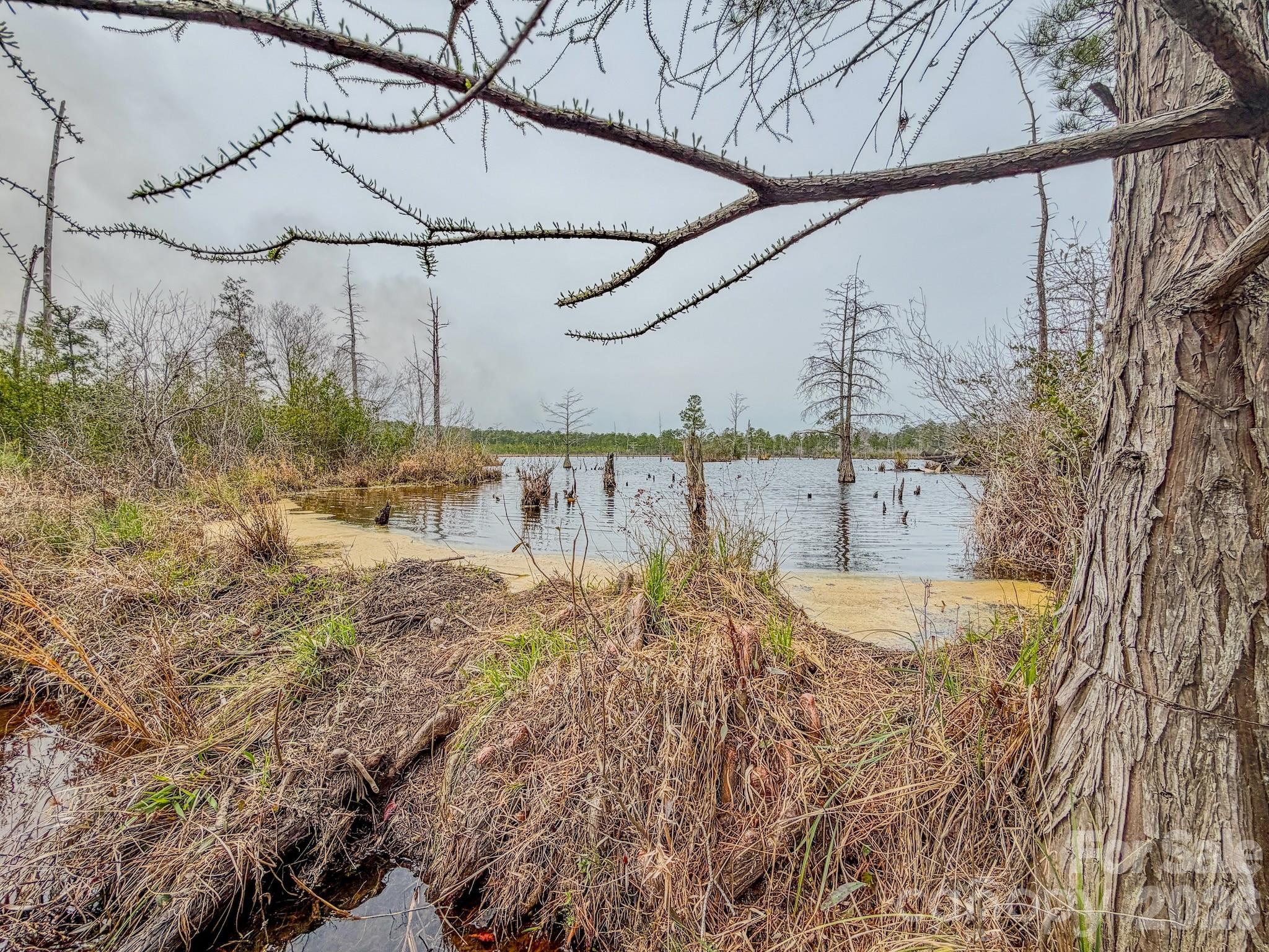 0 Lobelia Road Property Photo 21