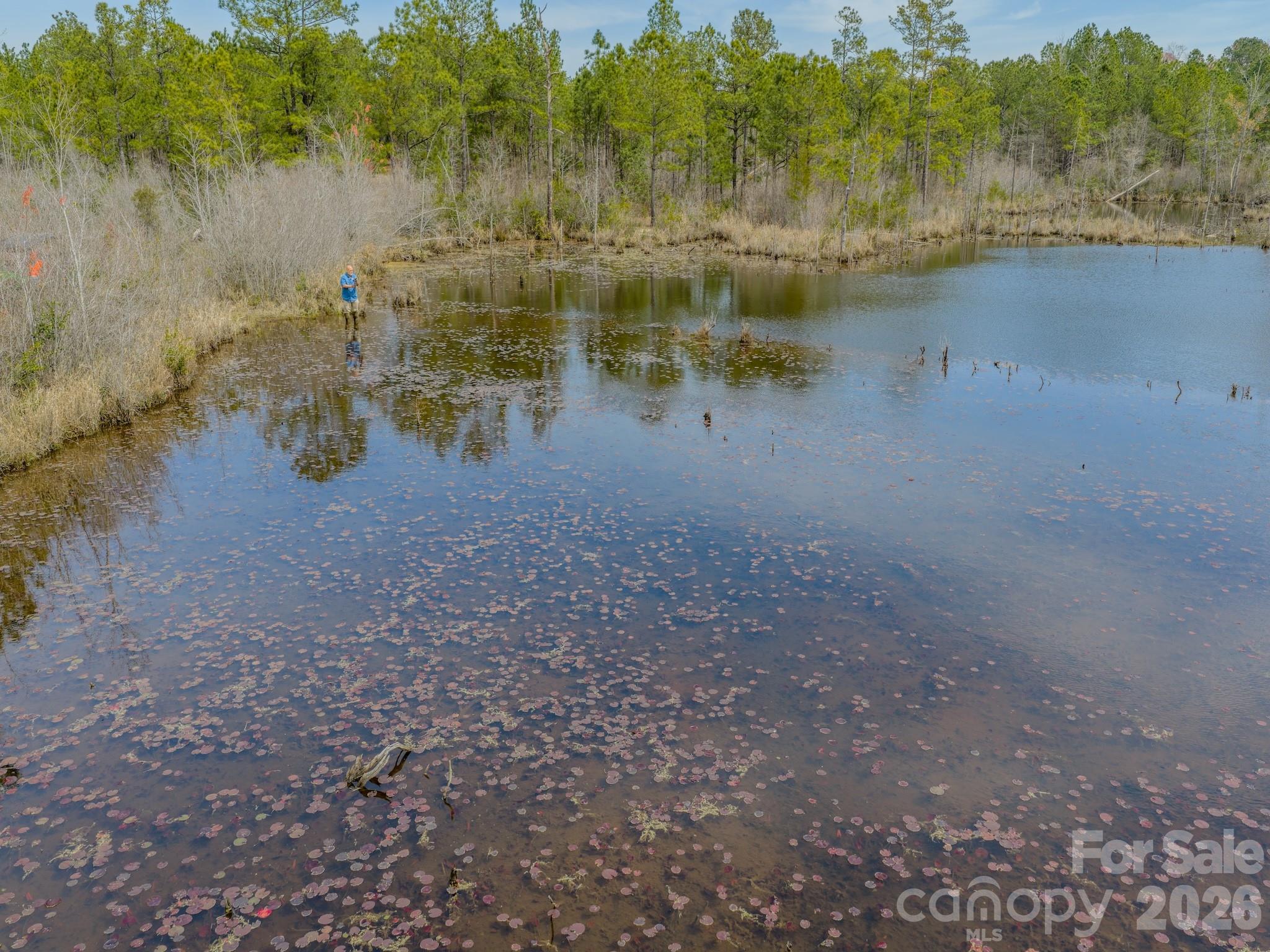 0 Lobelia Road Property Photo 33
