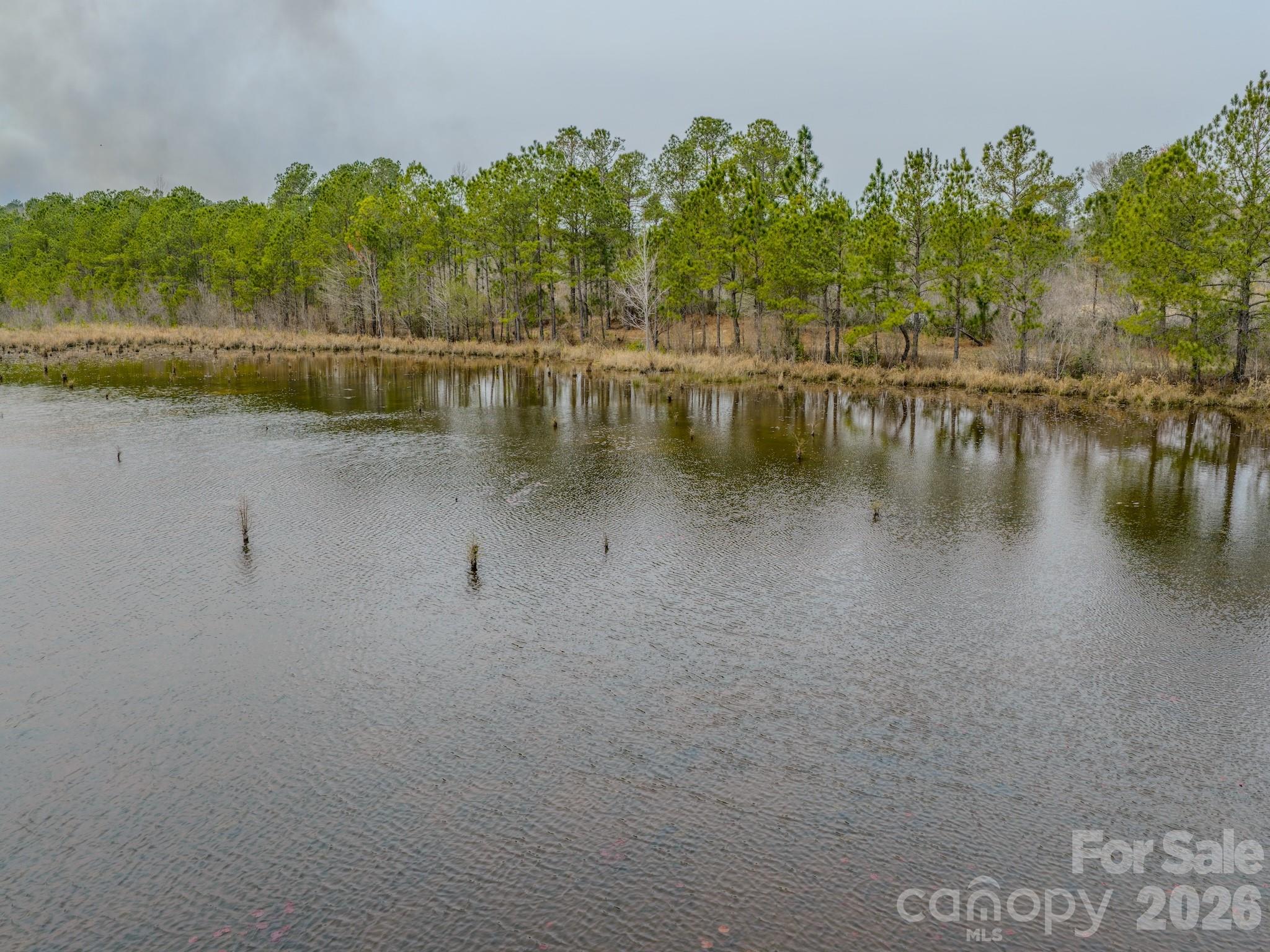 0 Lobelia Road Property Photo 34