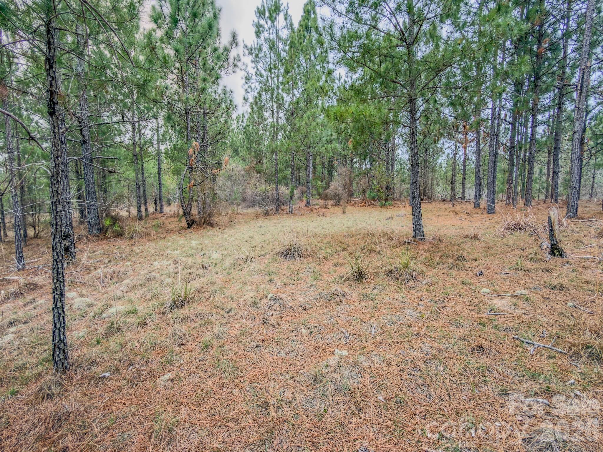 0 Lobelia Road Property Photo 36