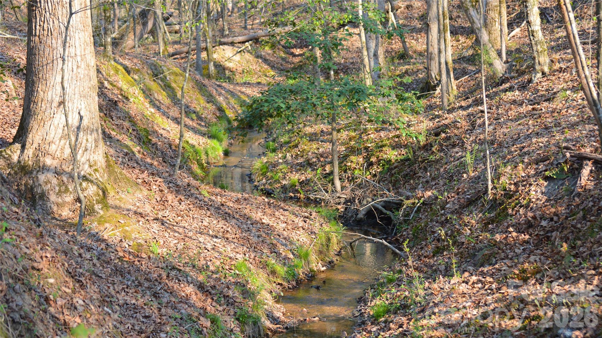 00 Peter Hawk Creek Road 10 Property Photo 1