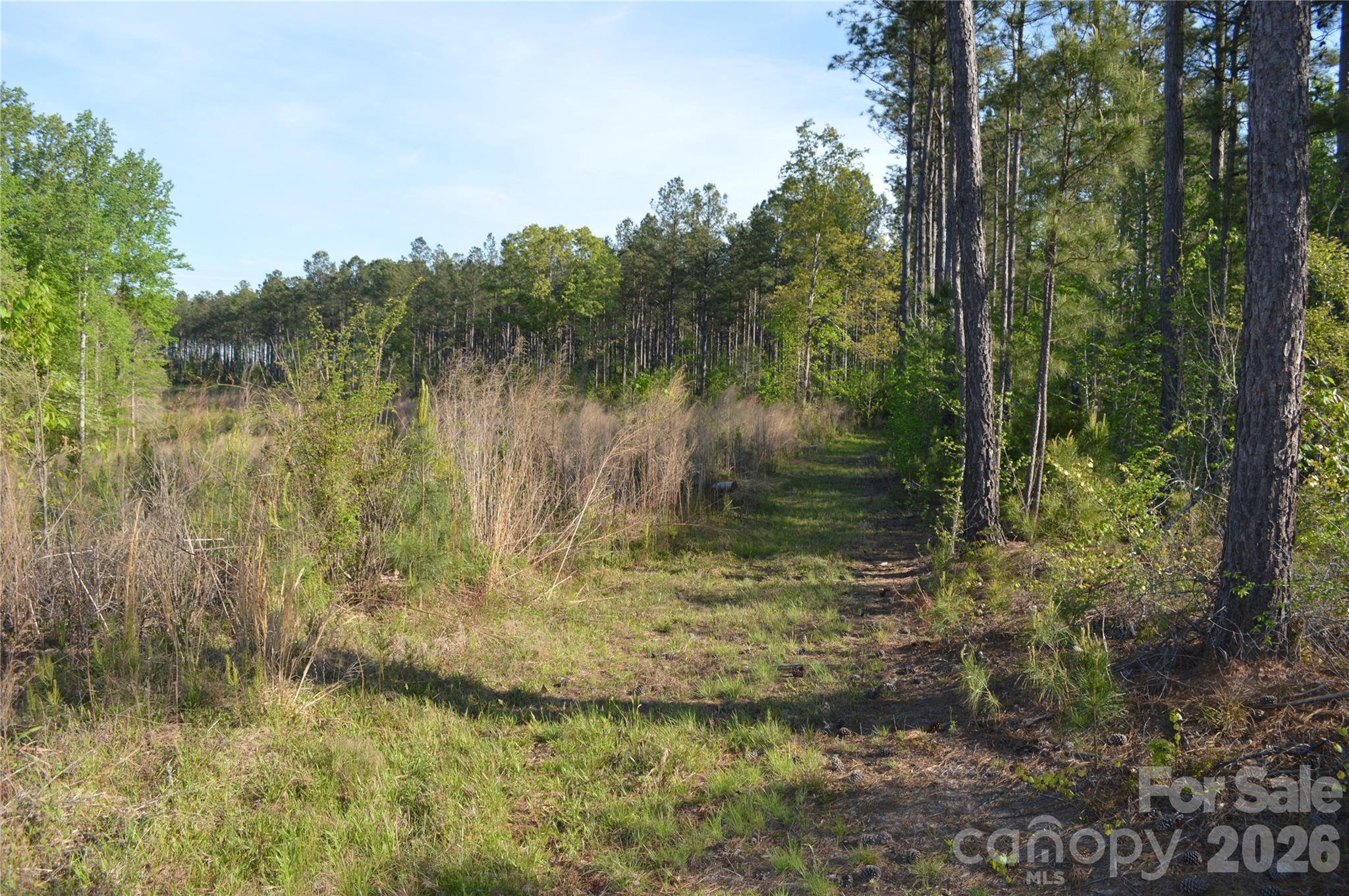 00 Peter Hawk Creek Road 10 Property Photo 4