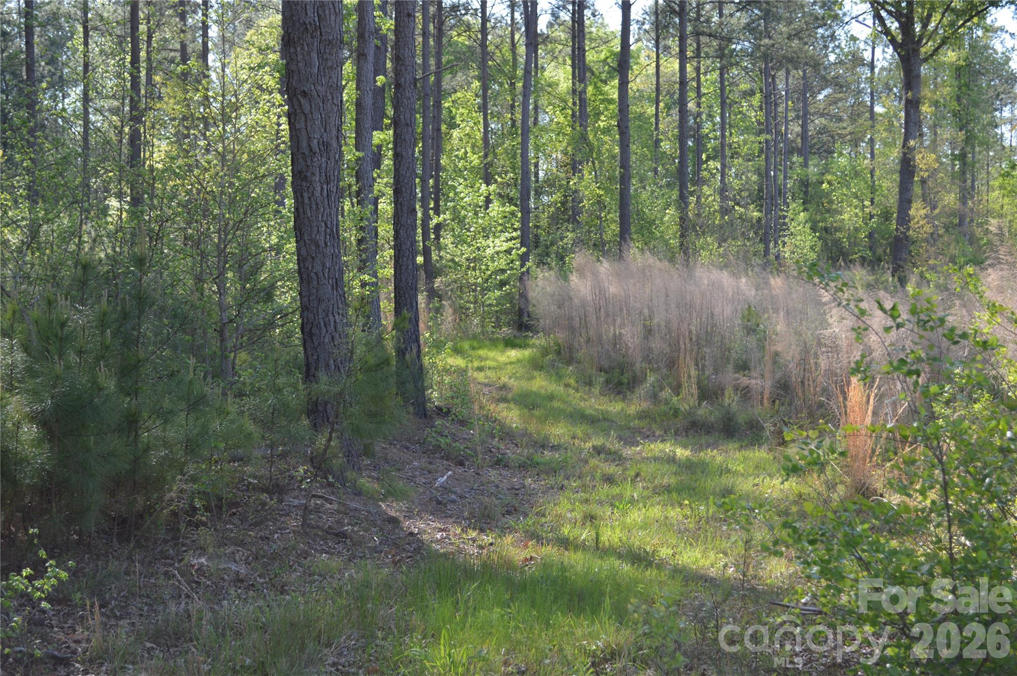 00 Peter Hawk Creek Road 10 Property Photo 6