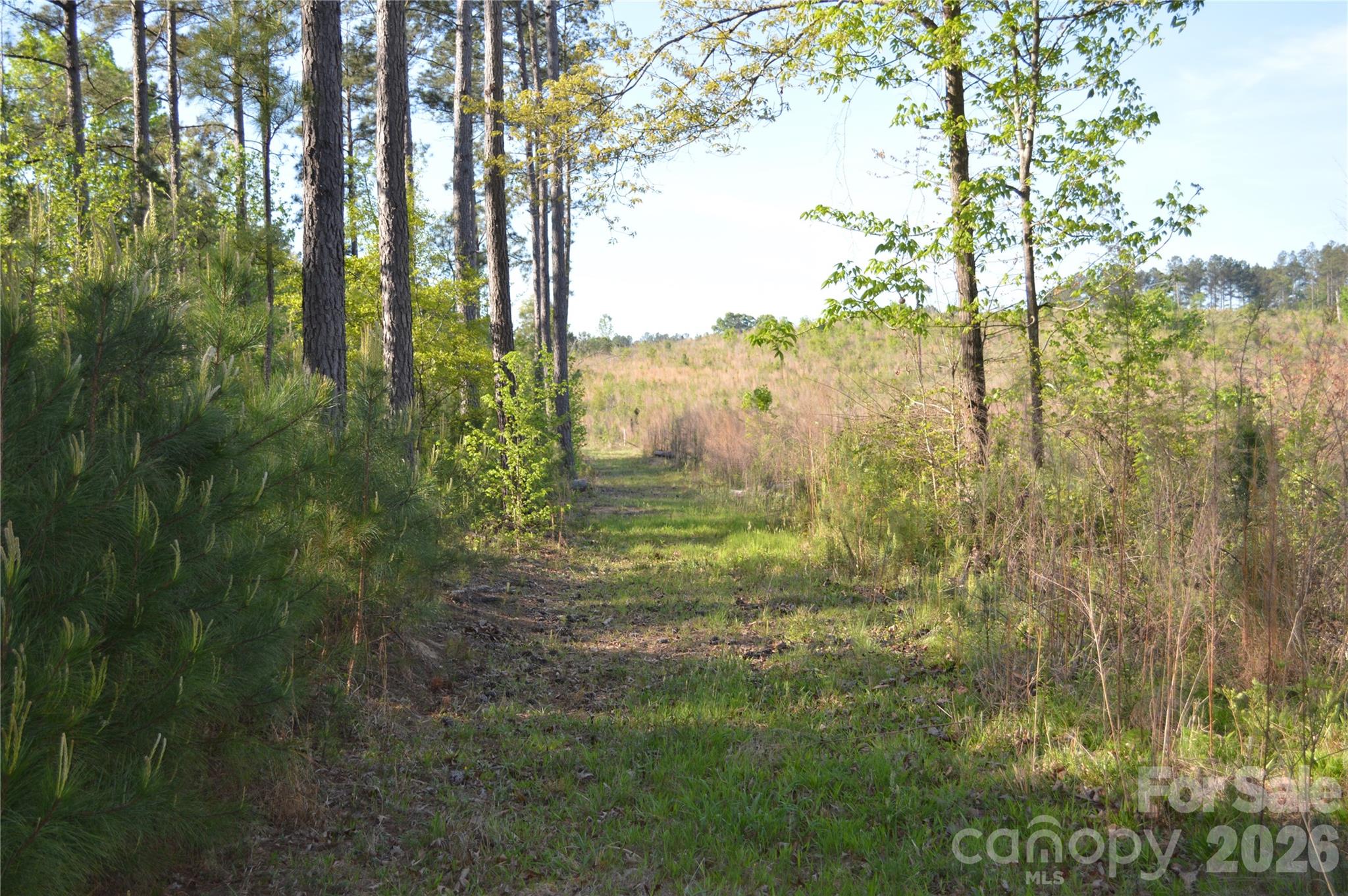 00 Peter Hawk Creek Road 10 Property Photo 7
