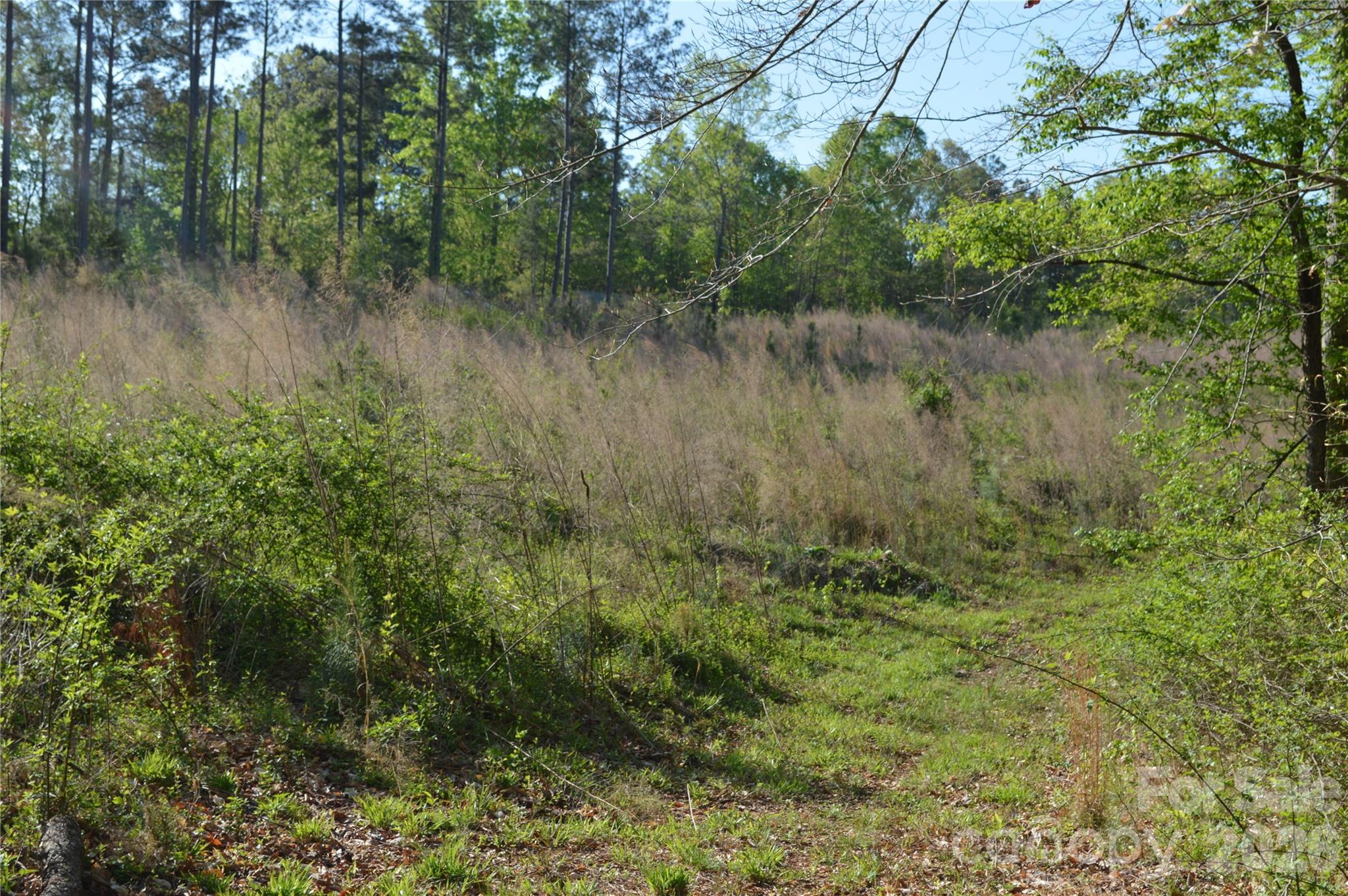 00 Peter Hawk Creek Road 10 Property Photo 8