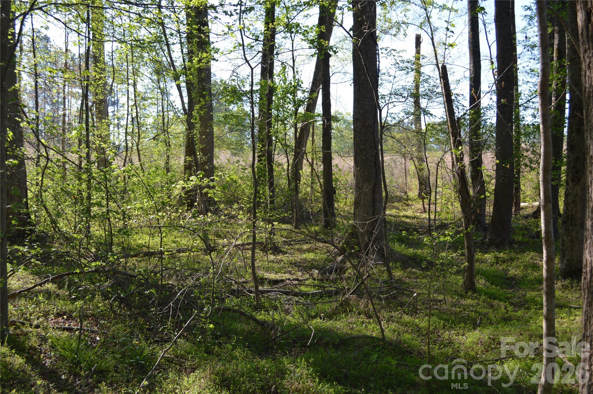 00 Peter Hawk Creek Road 10 Property Photo 10