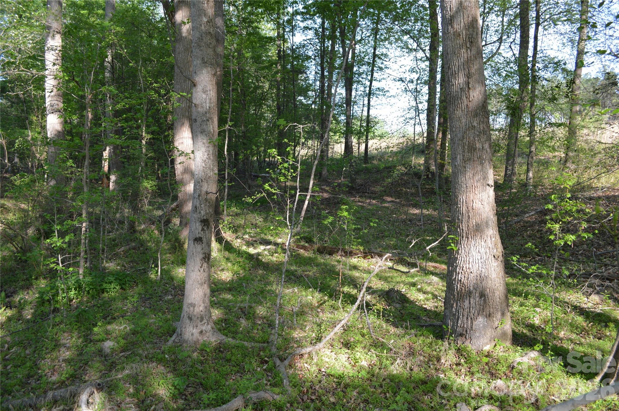 00 Peter Hawk Creek Road 10 Property Photo 11