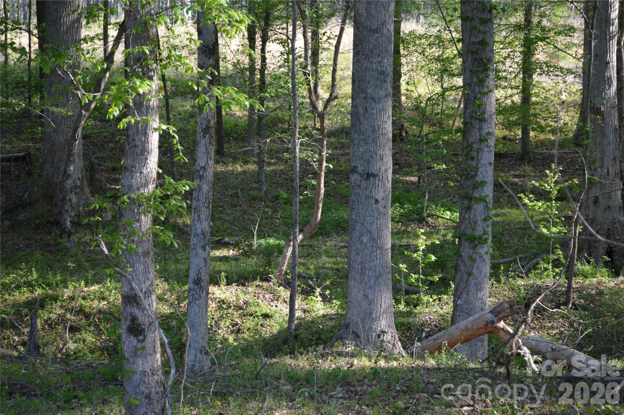 00 Peter Hawk Creek Road 10 Property Photo 12