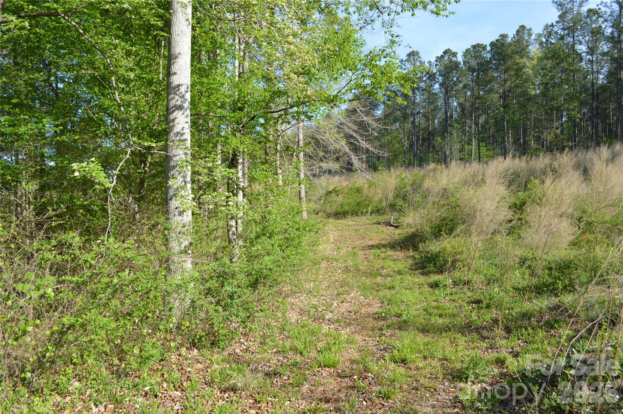 00 Peter Hawk Creek Road 10 Property Photo 13