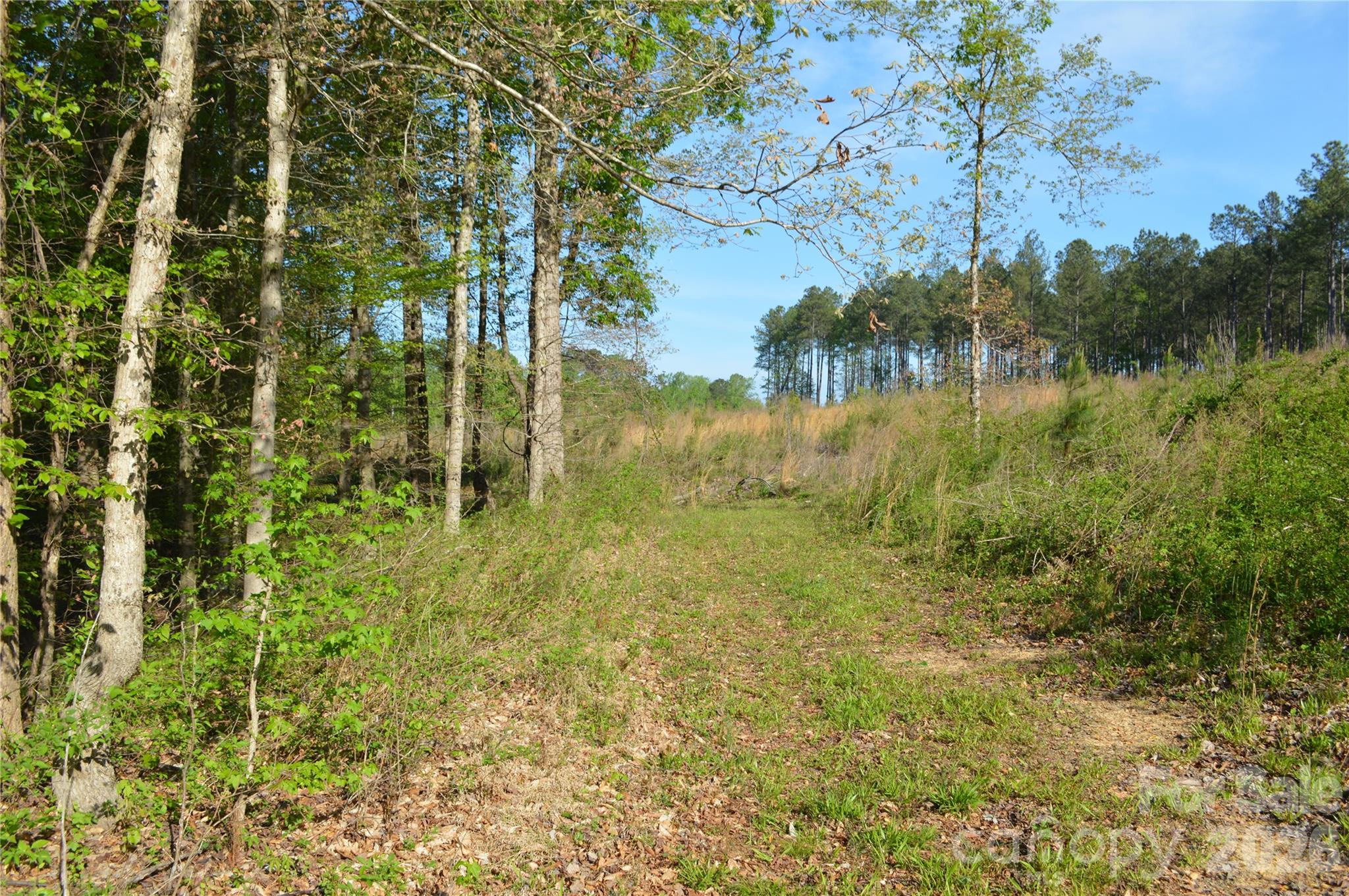 00 Peter Hawk Creek Road 10 Property Photo 14