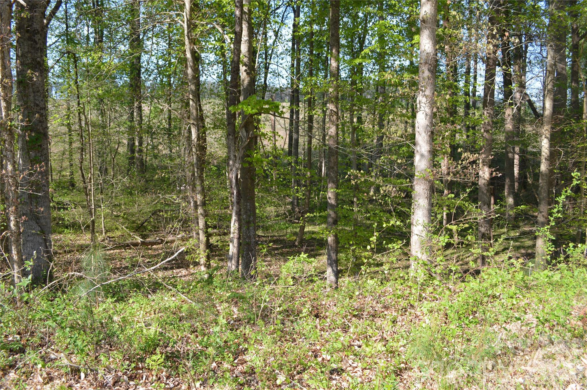 00 Peter Hawk Creek Road 10 Property Photo 15