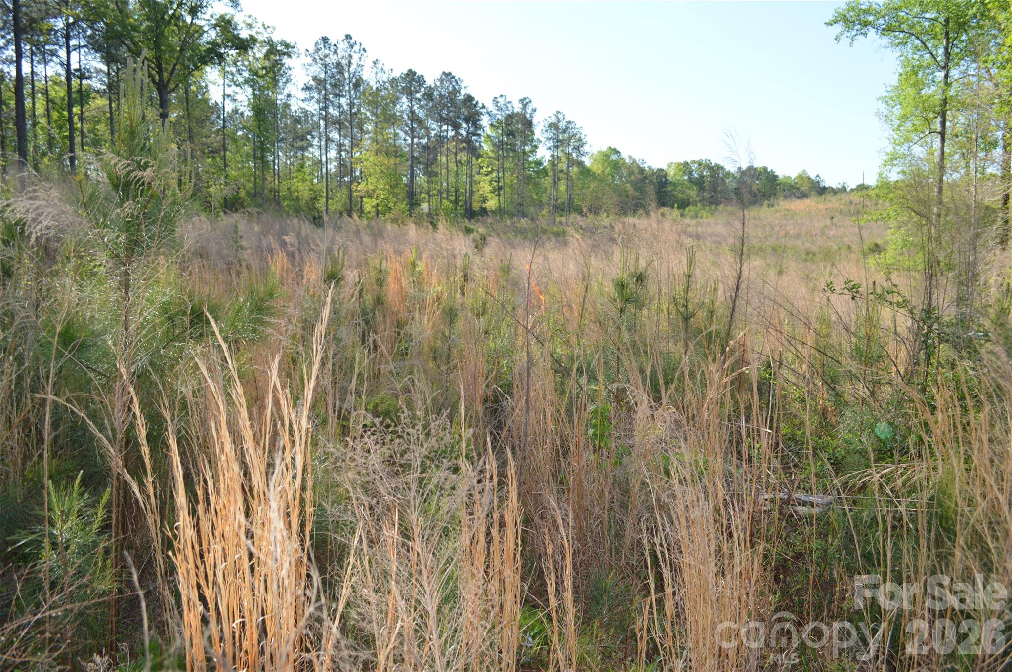 00 Peter Hawk Creek Road 10 Property Photo 16