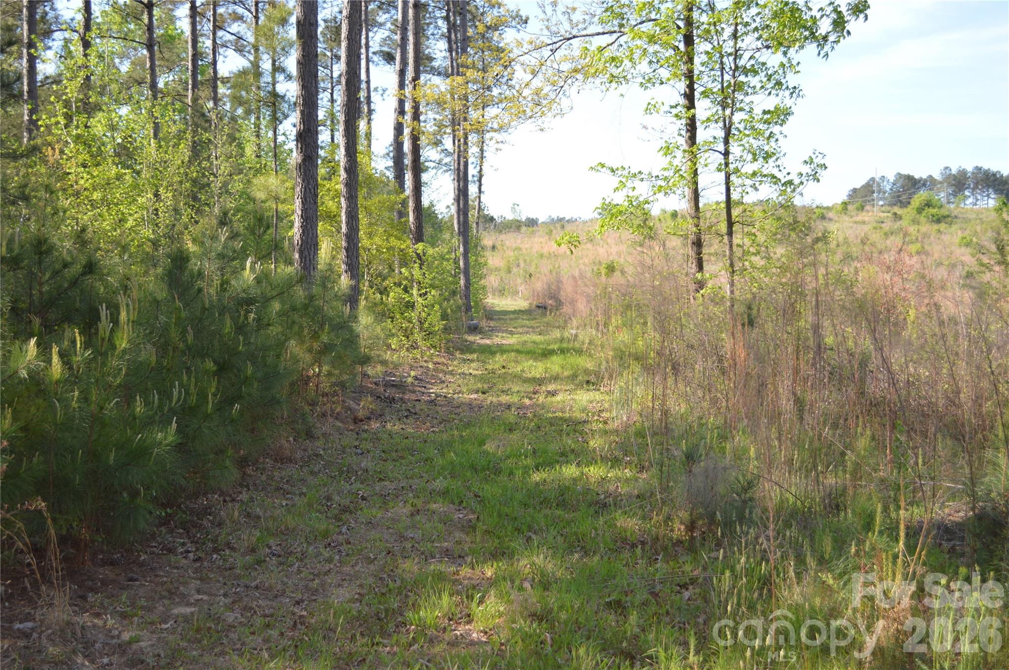 00 Peter Hawk Creek Road 10 Property Photo 17