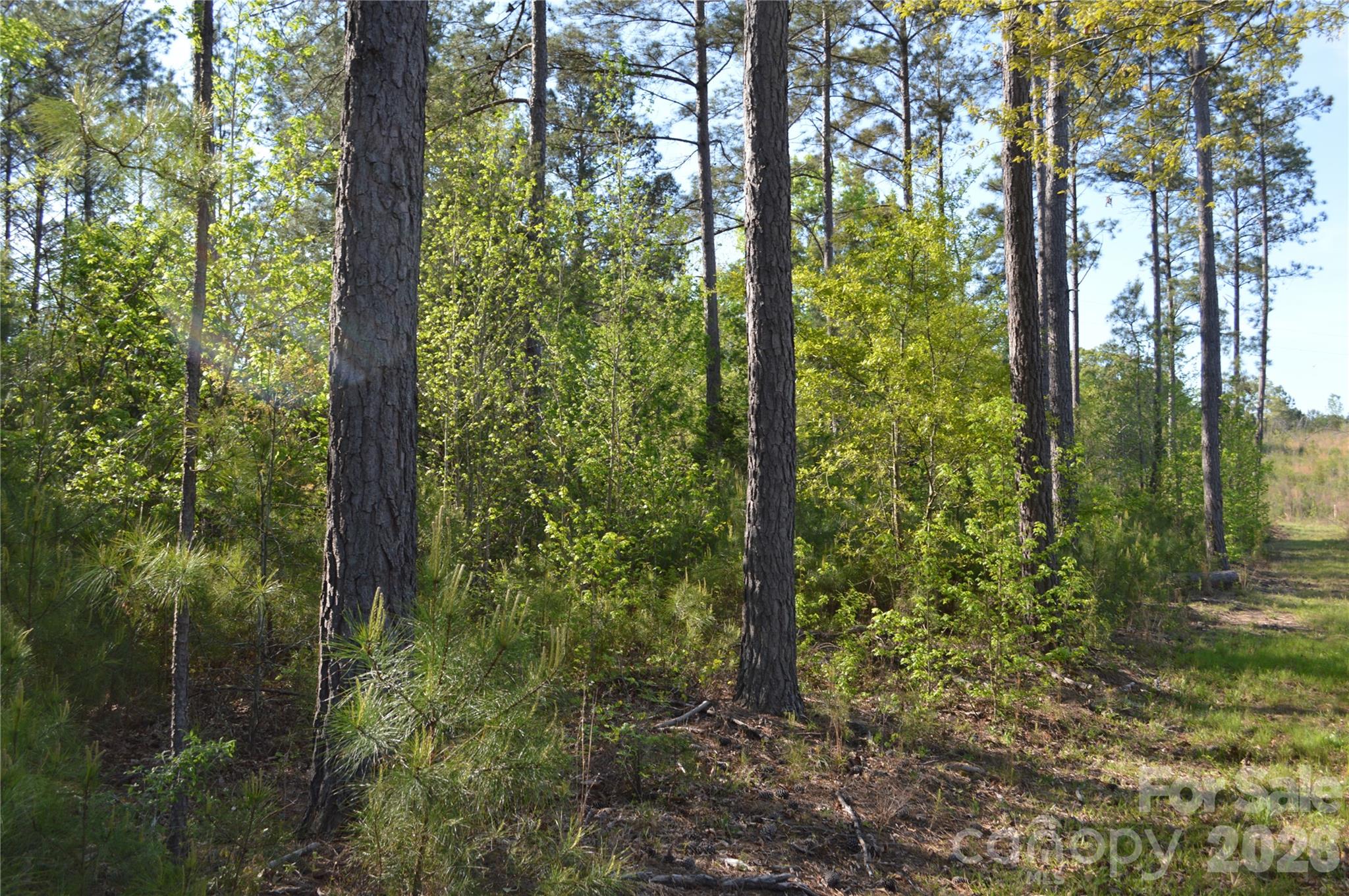 00 Peter Hawk Creek Road 10 Property Photo 18