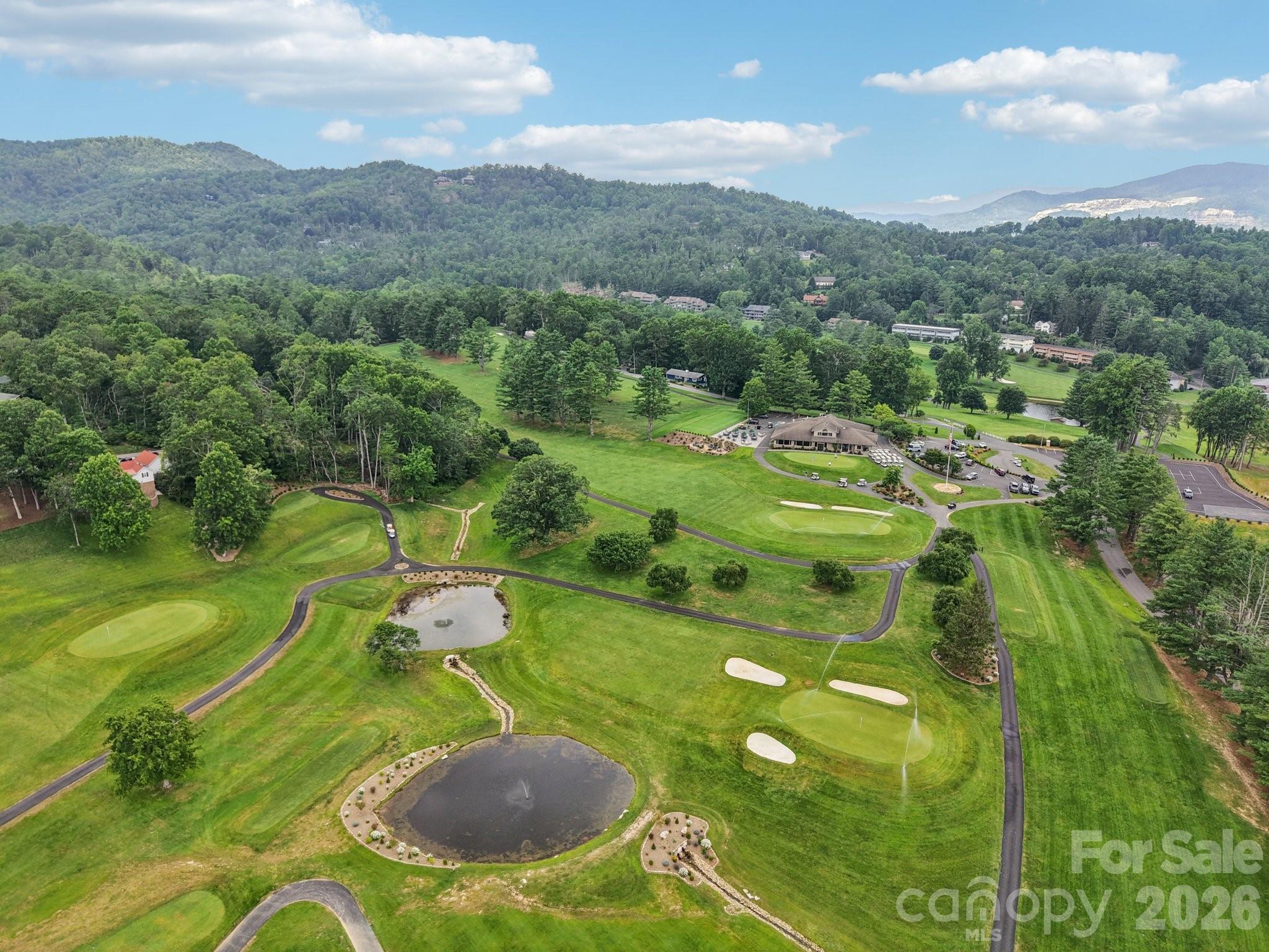 1063 Swiss Pine Lake Drive Property Photo 33