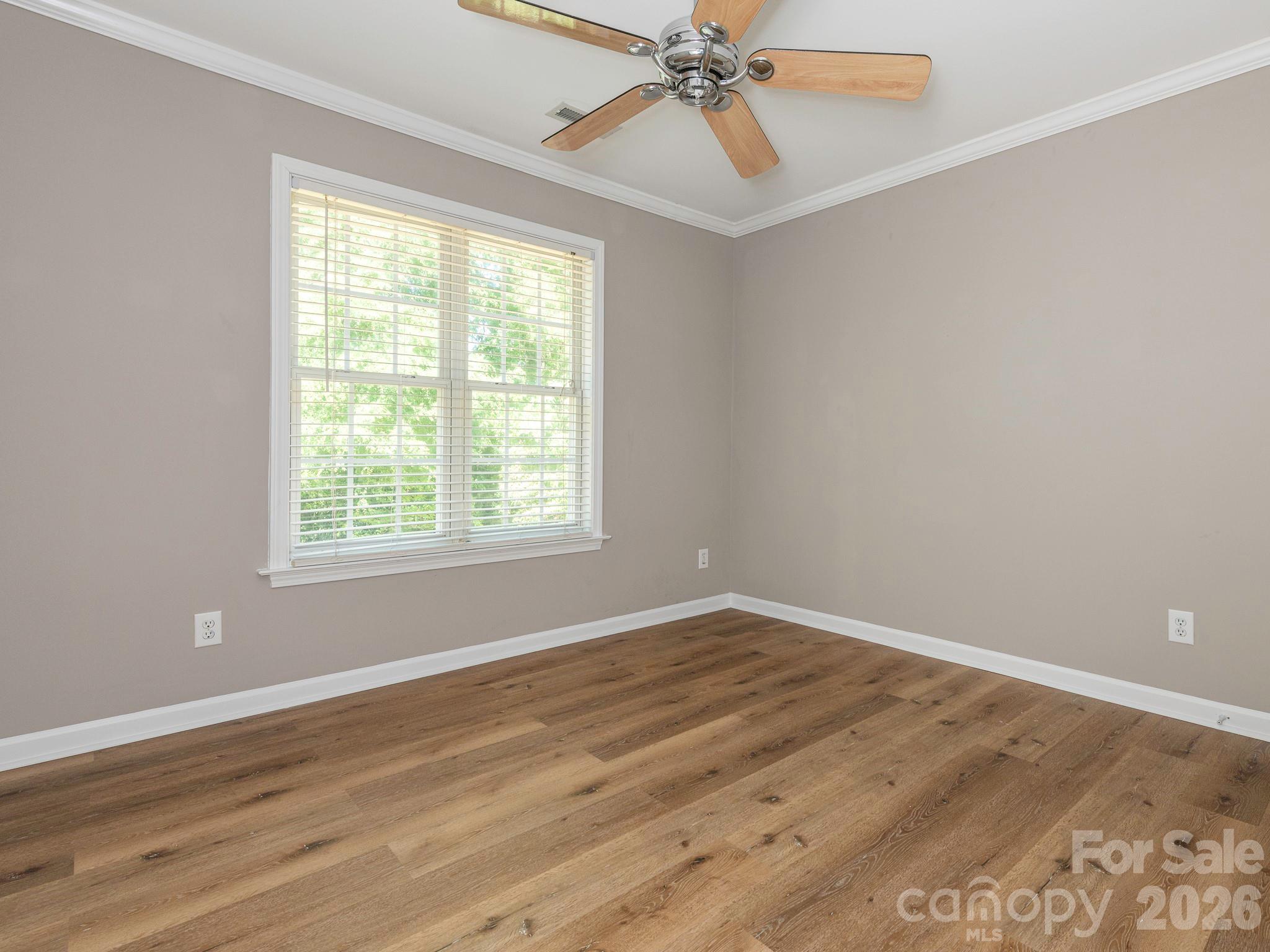11709 Borchetta Drive Property Photo 15