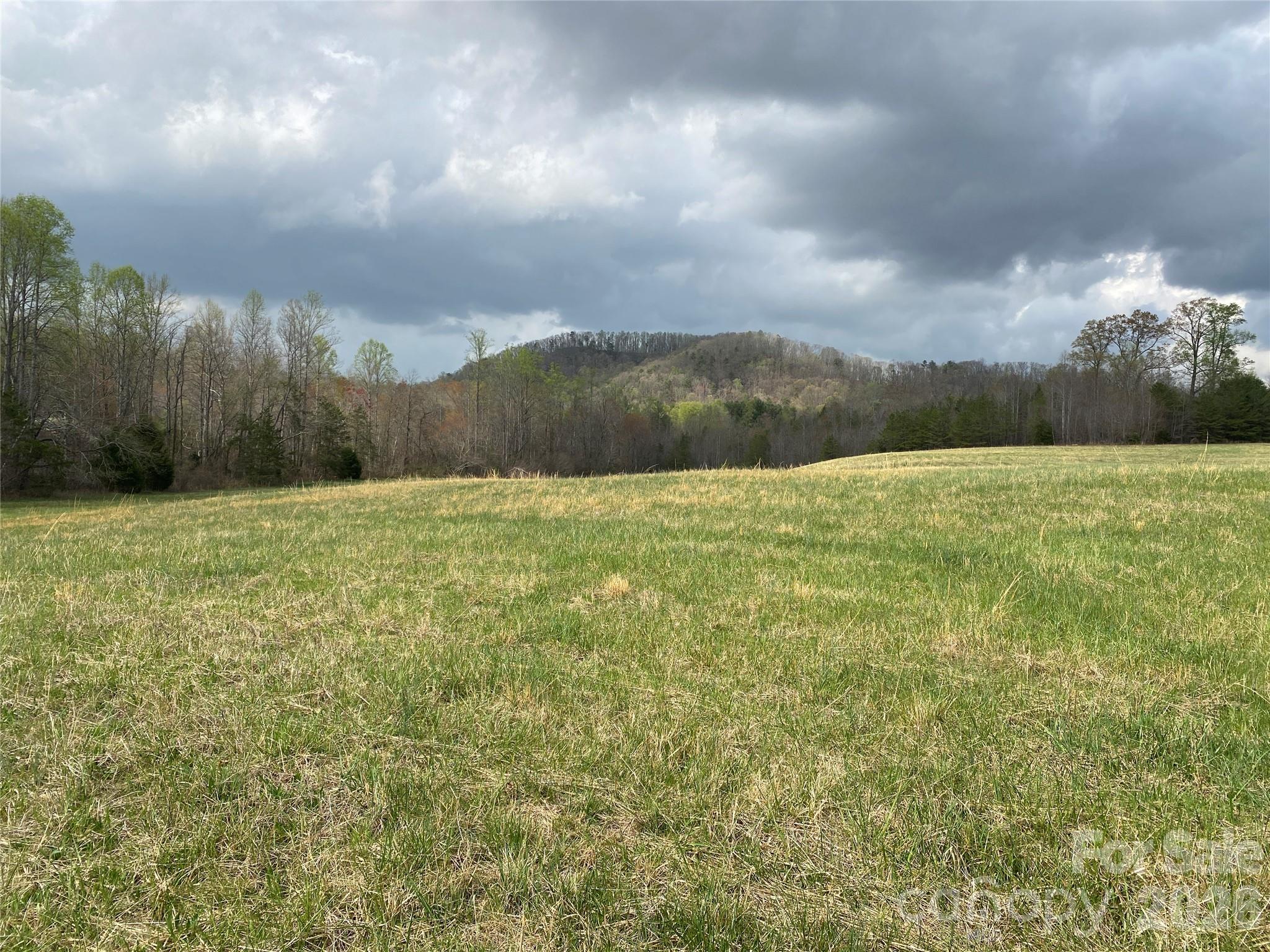 00 Cane Creek Mountain Road 2 Property Photo 1
