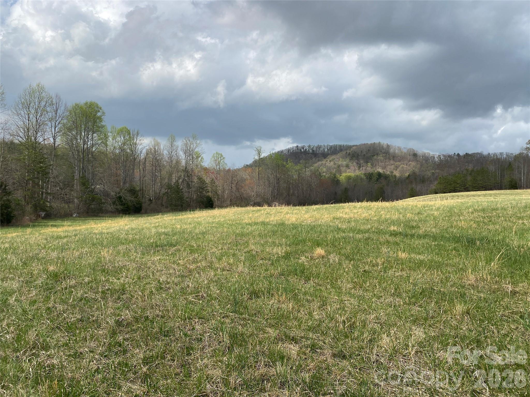 00 Cane Creek Mountain Road 2 Property Photo 3