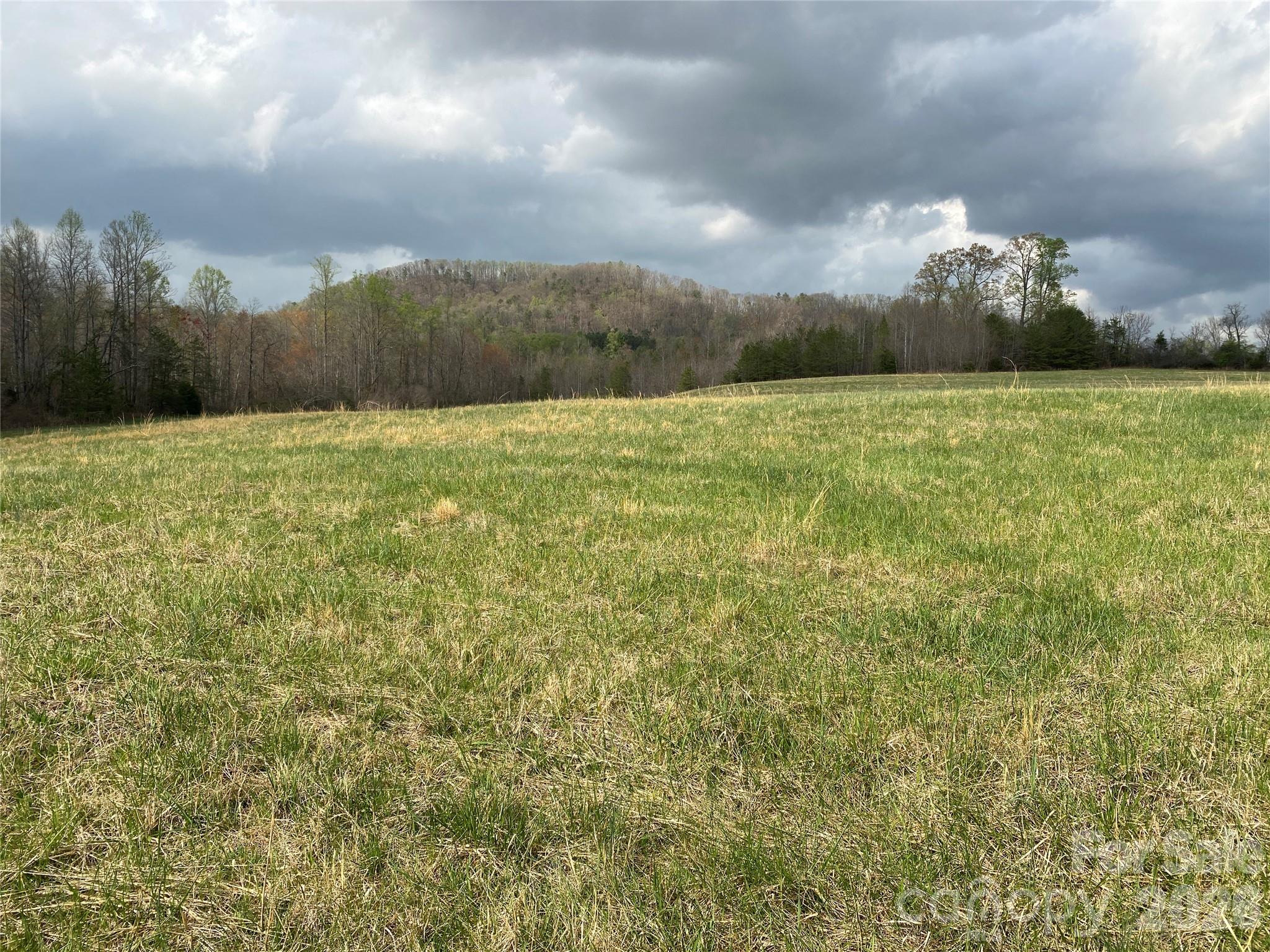 00 Cane Creek Mountain Road 2 Property Photo 5