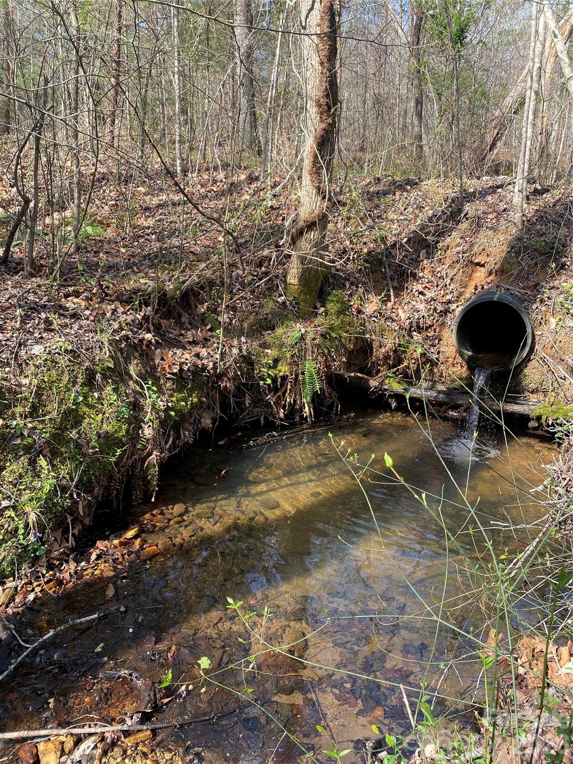 00 Cane Creek Mountain Road 2 Property Photo 6