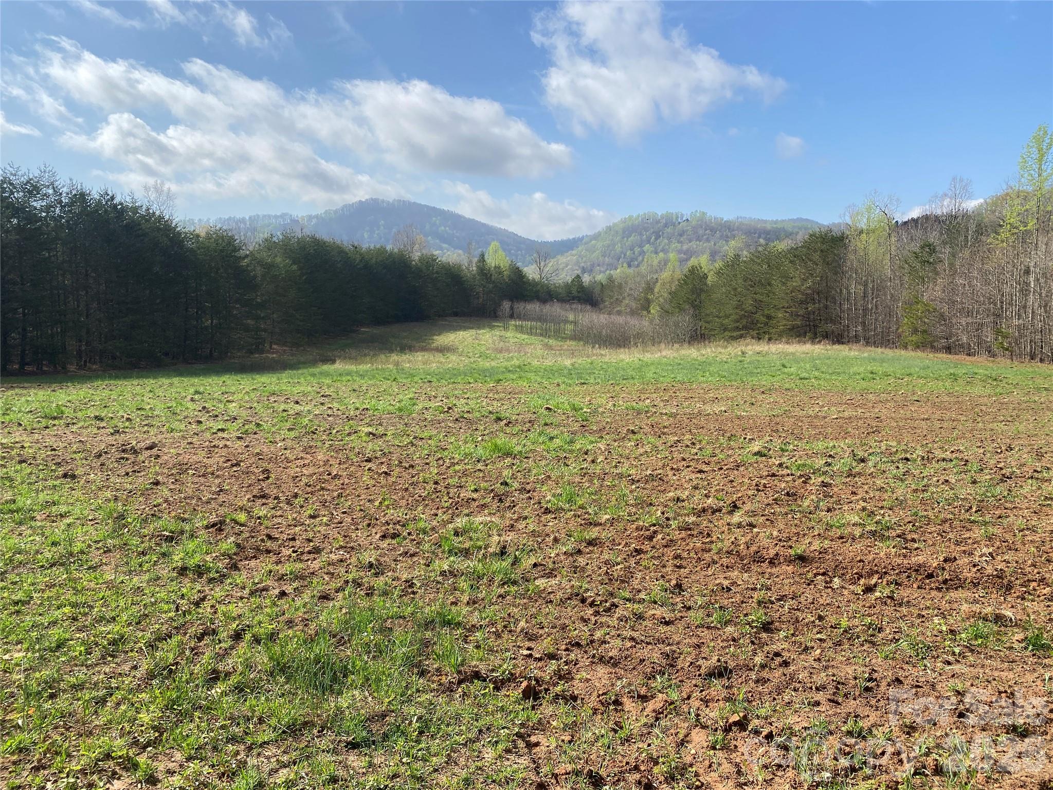 00 Cane Creek Mountain Road 1 Property Photo 1
