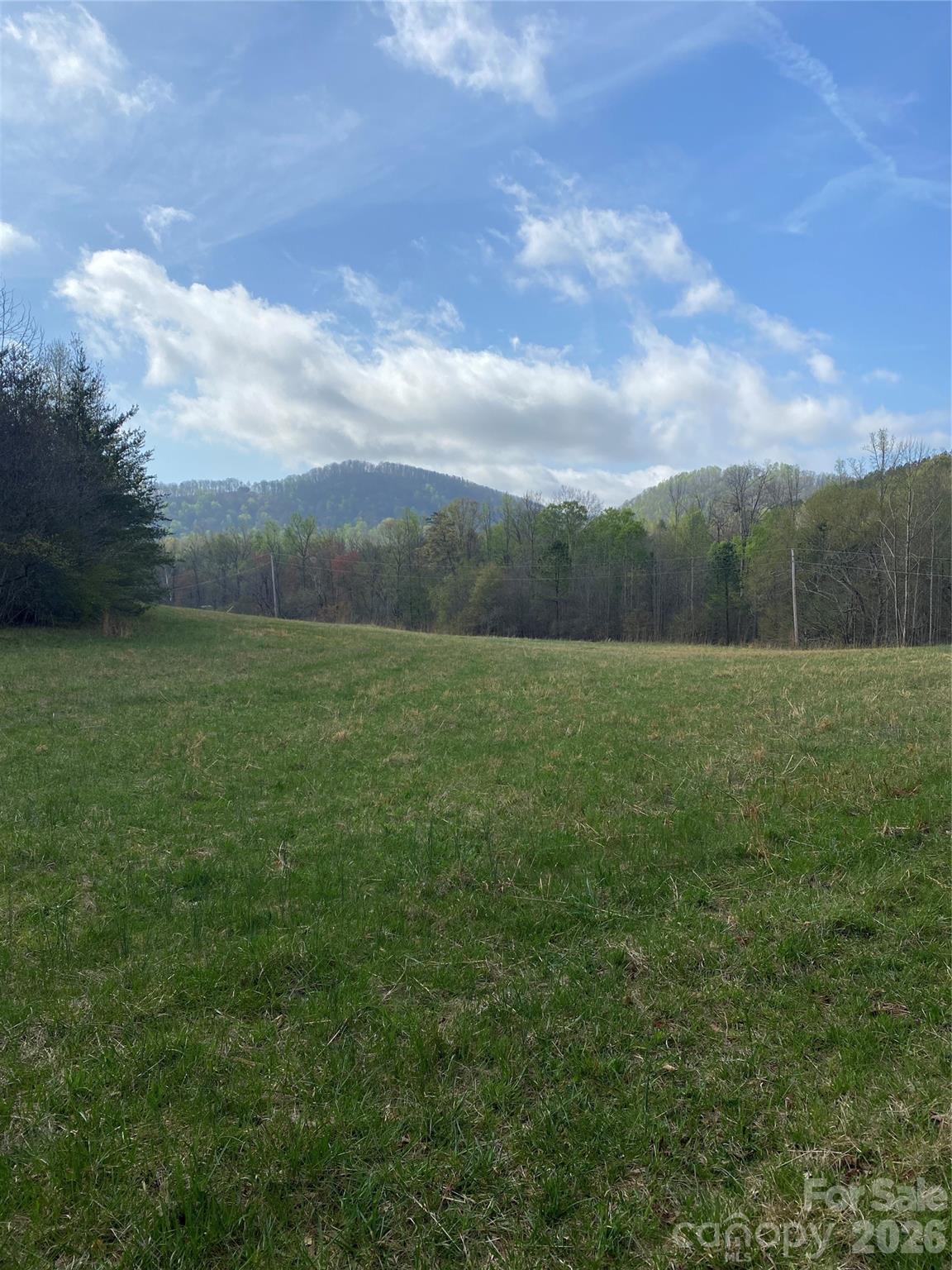 00 Cane Creek Mountain Road 1 Property Photo 3