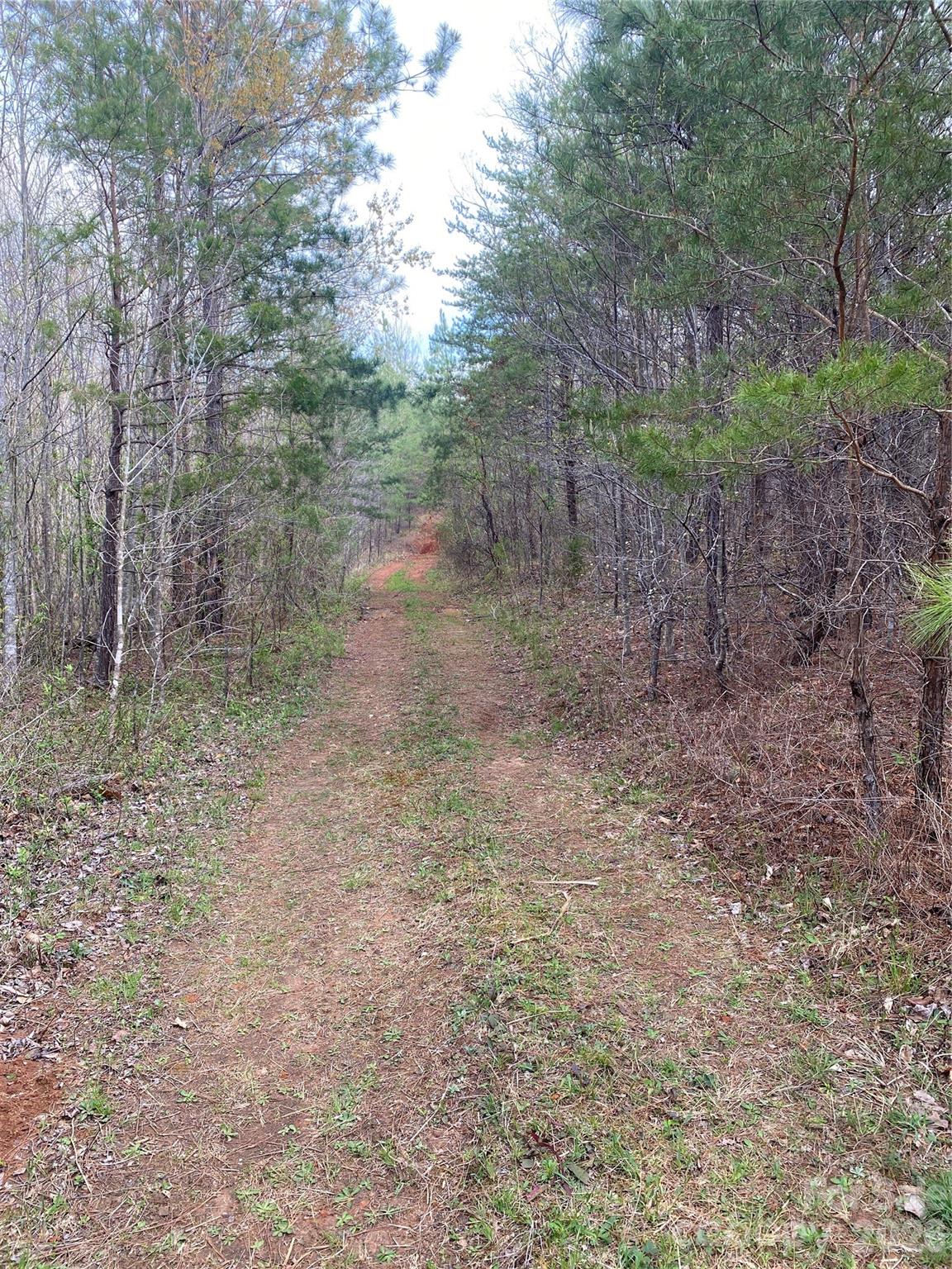 00 Cane Creek Mountain Road 1 Property Photo 4