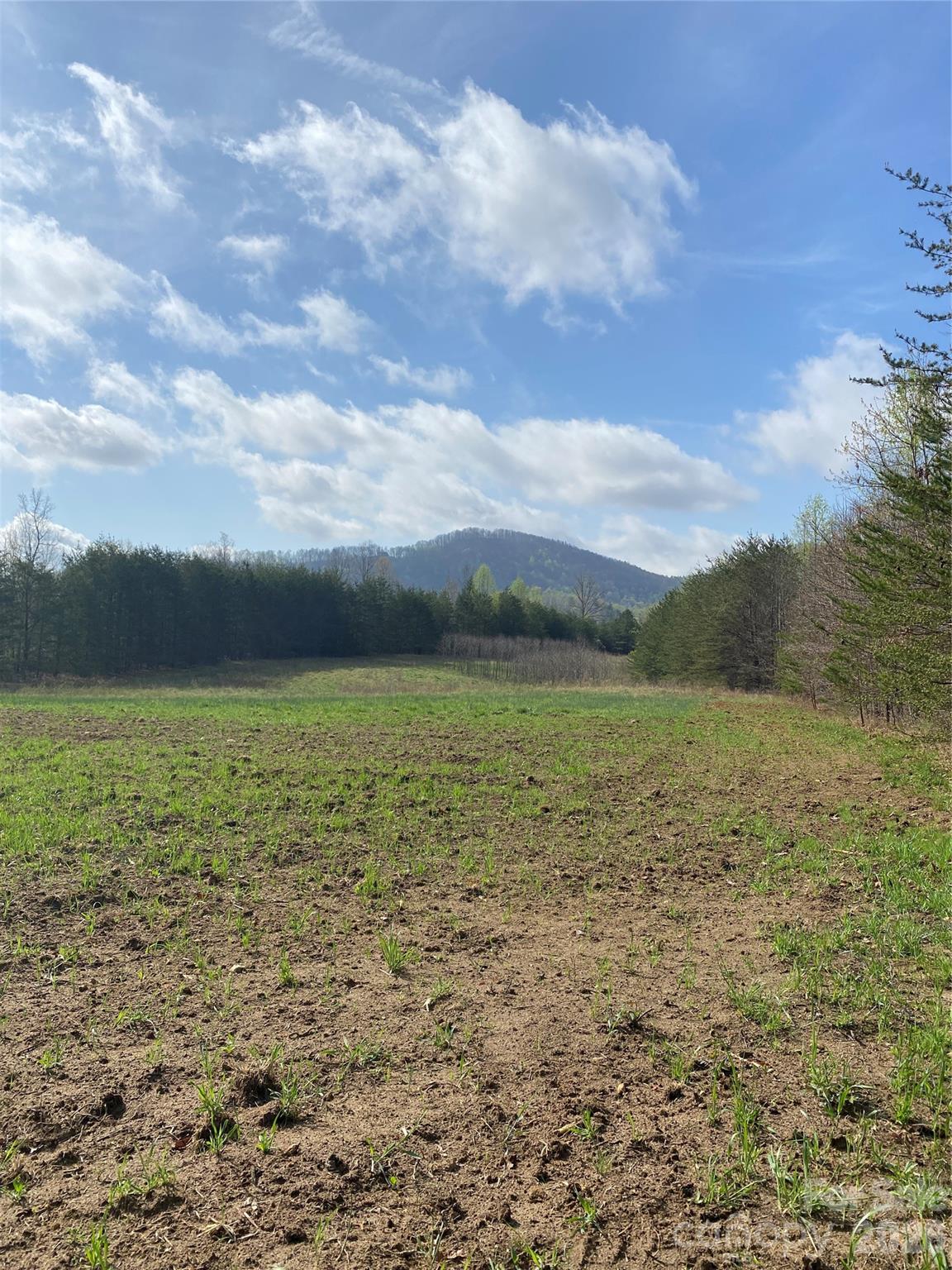 00 Cane Creek Mountain Road 1 Property Photo 5