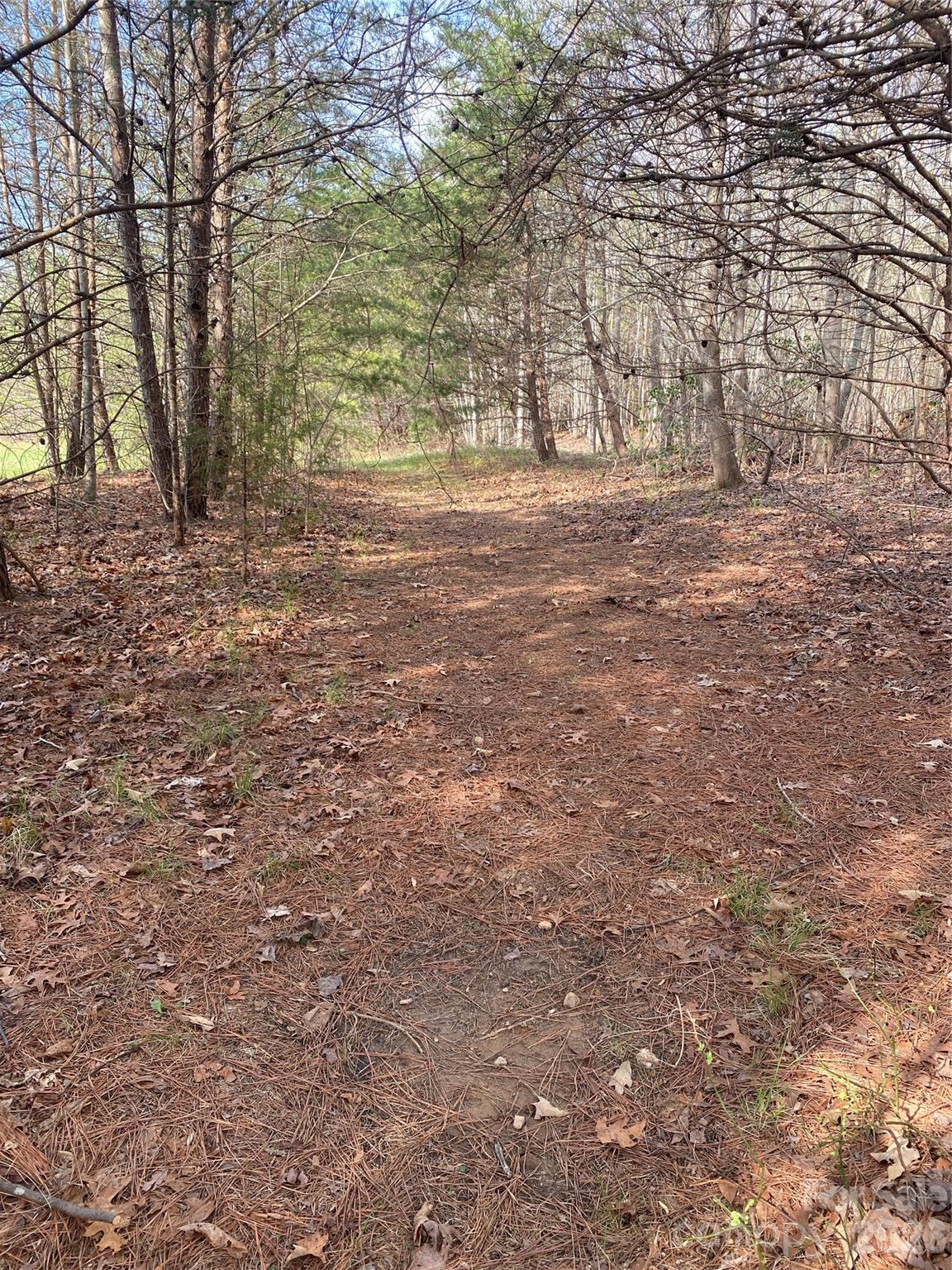 00 Cane Creek Mountain Road 1 Property Photo 6