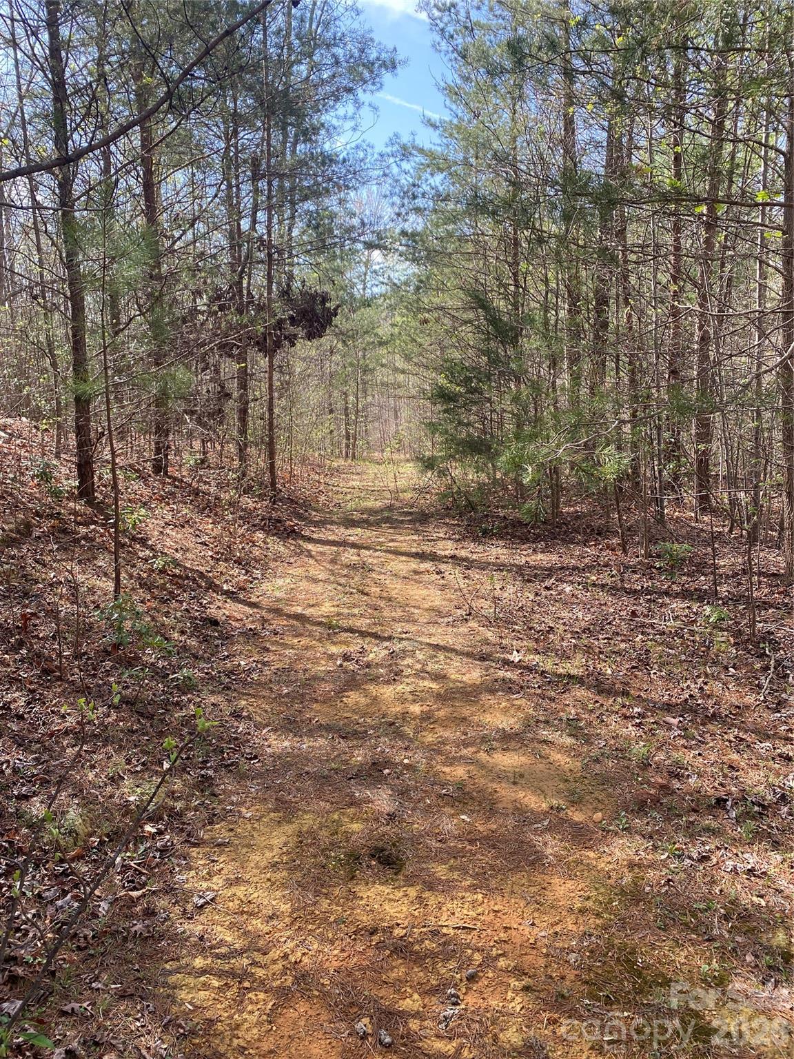 00 Cane Creek Mountain Road 1 Property Photo 7