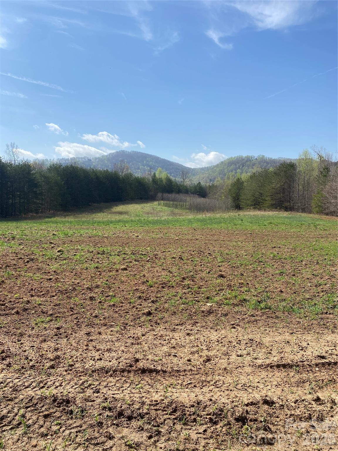 00 Cane Creek Mountain Road 1 Property Photo 8