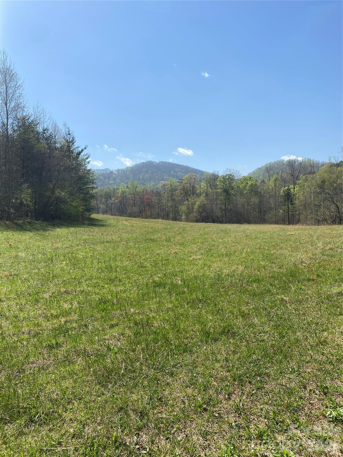 00 Cane Creek Mountain Road 1 Property Photo 10