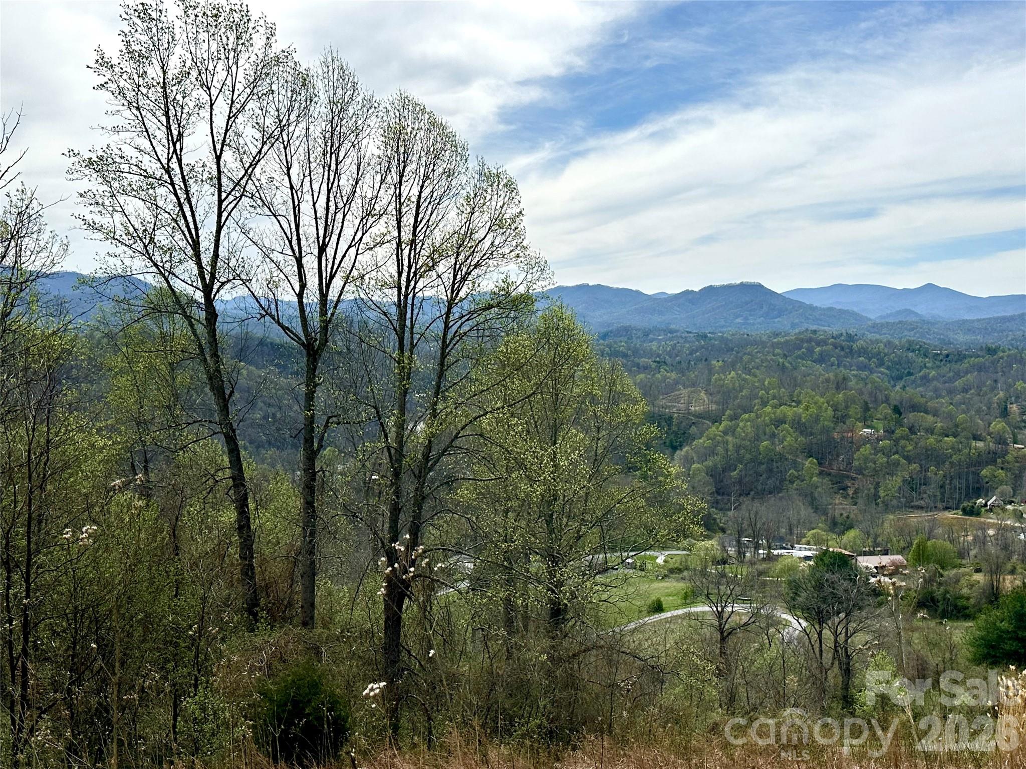 000 Sunset Mountain Road 12 Property Photo 3