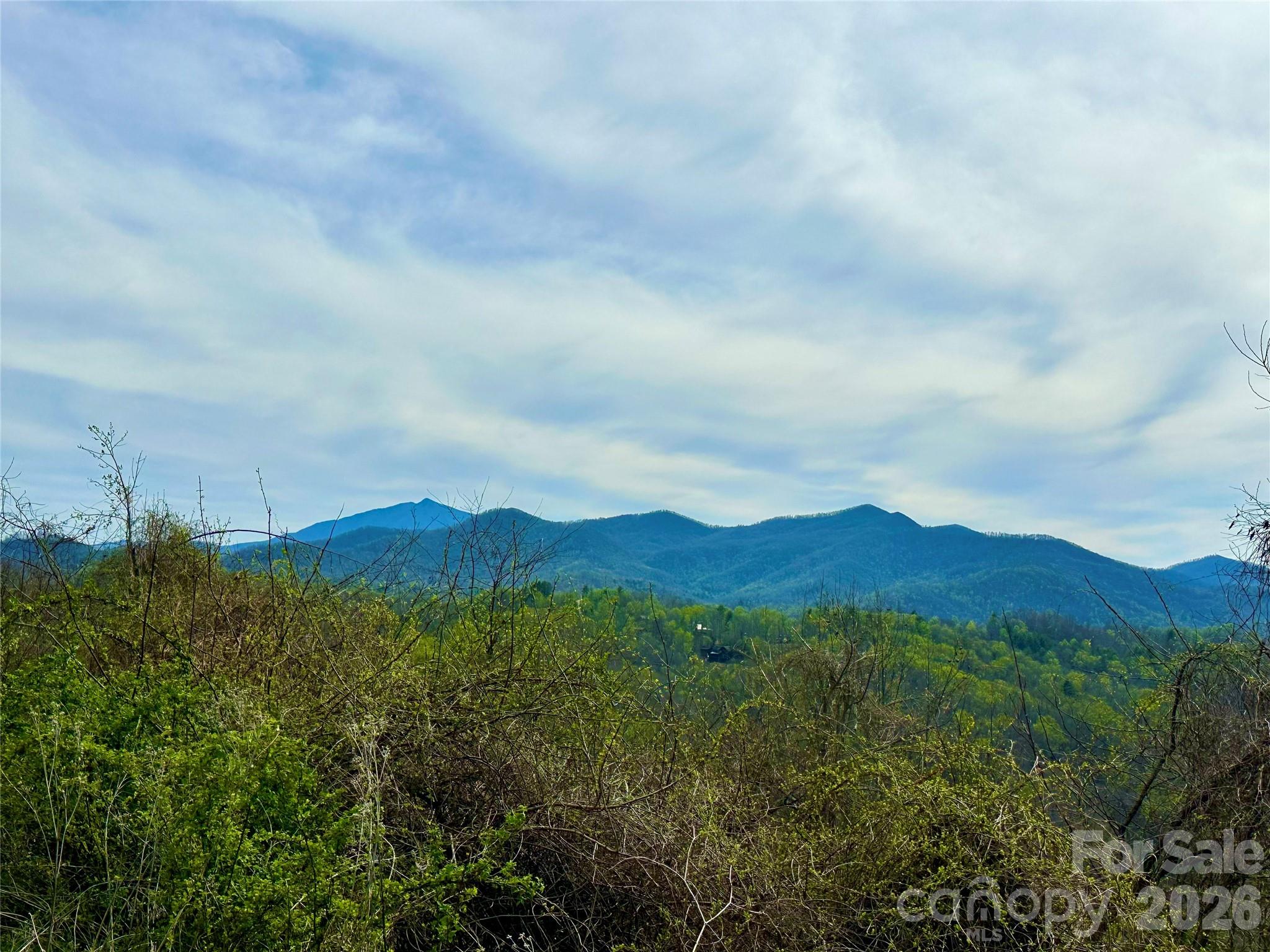000 Sunset Mountain Road 12 Property Photo 4