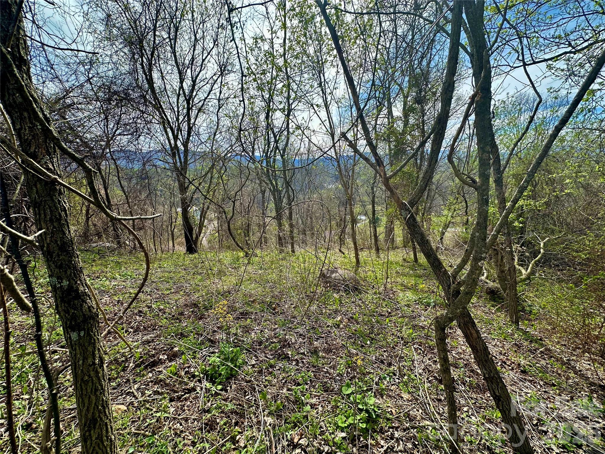 000 Sunset Mountain Road 12 Property Photo 6