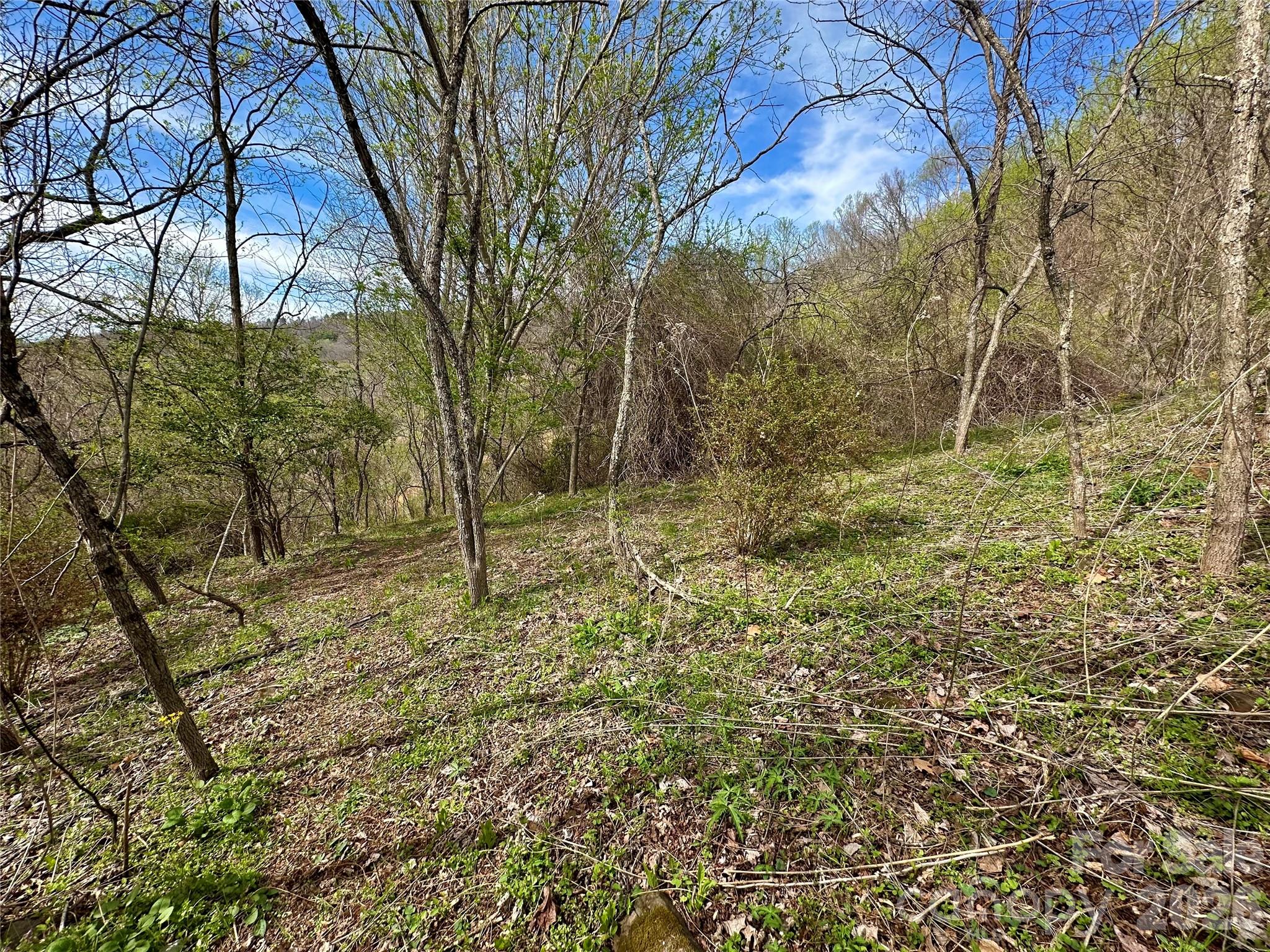 000 Sunset Mountain Road 12 Property Photo 7