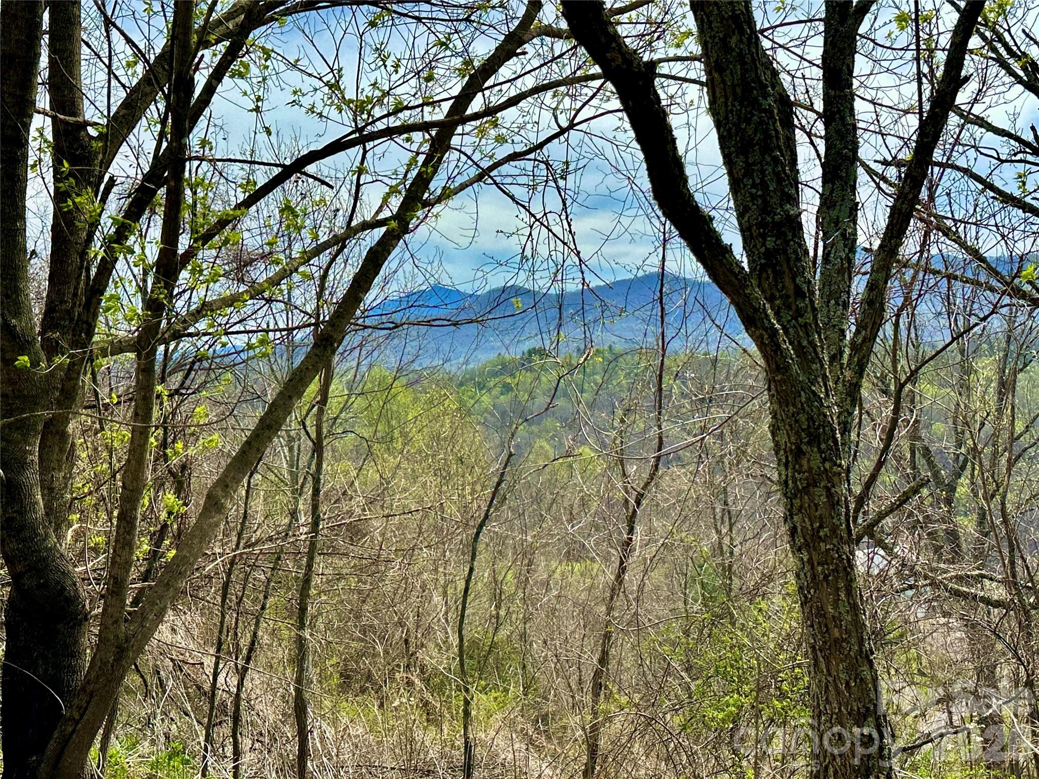 000 Sunset Mountain Road 12 Property Photo 8