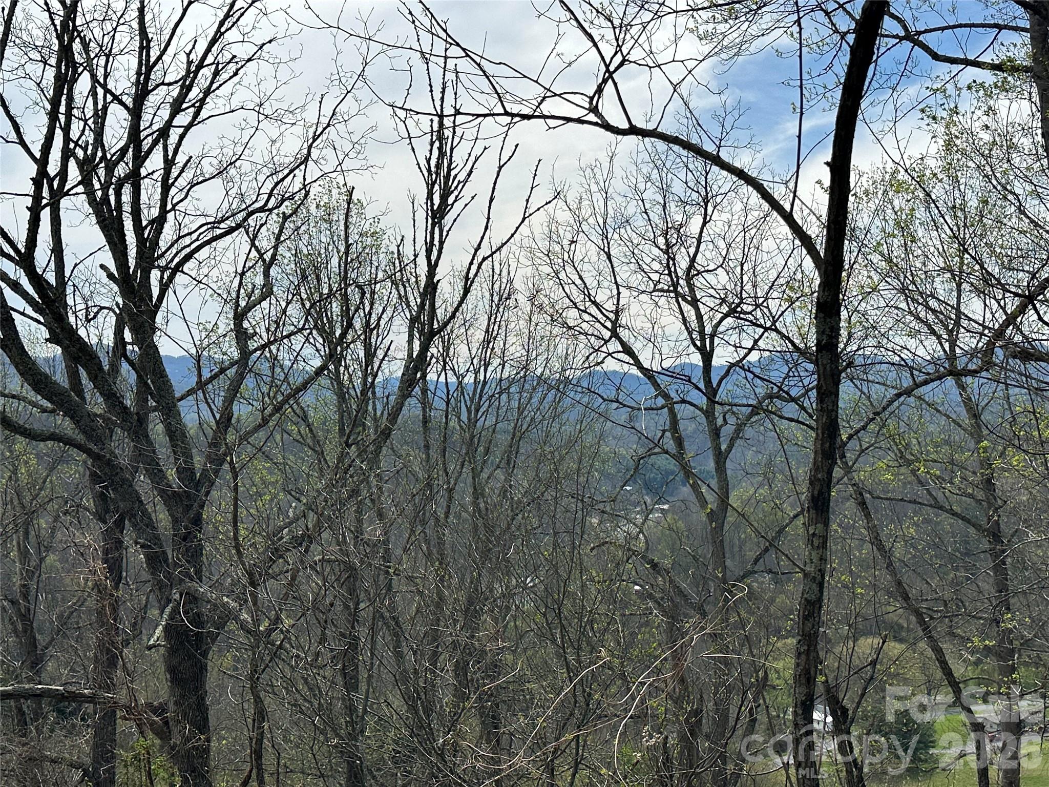 000 Sunset Mountain Road 12 Property Photo 9