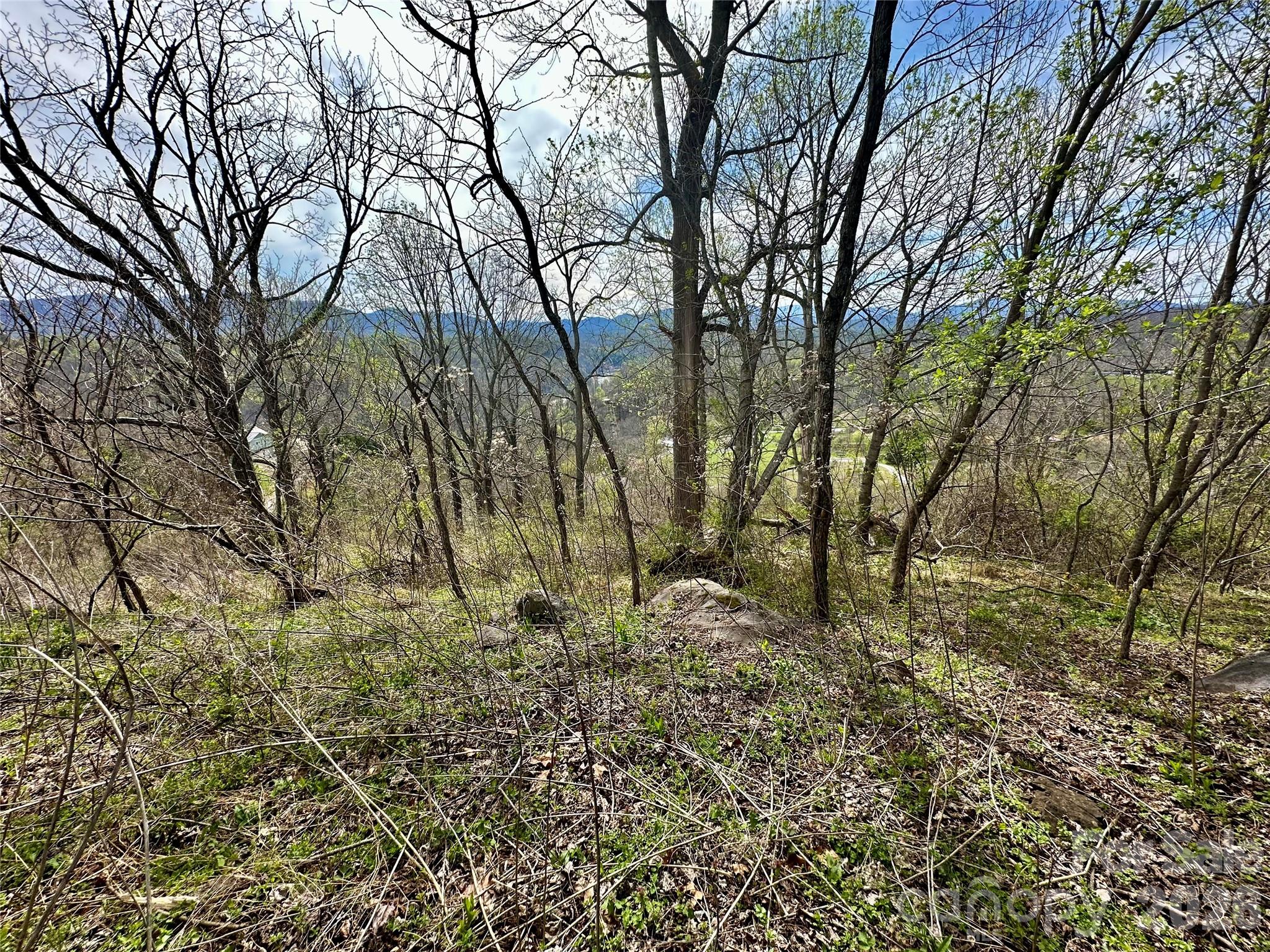 000 Sunset Mountain Road 12 Property Photo 11