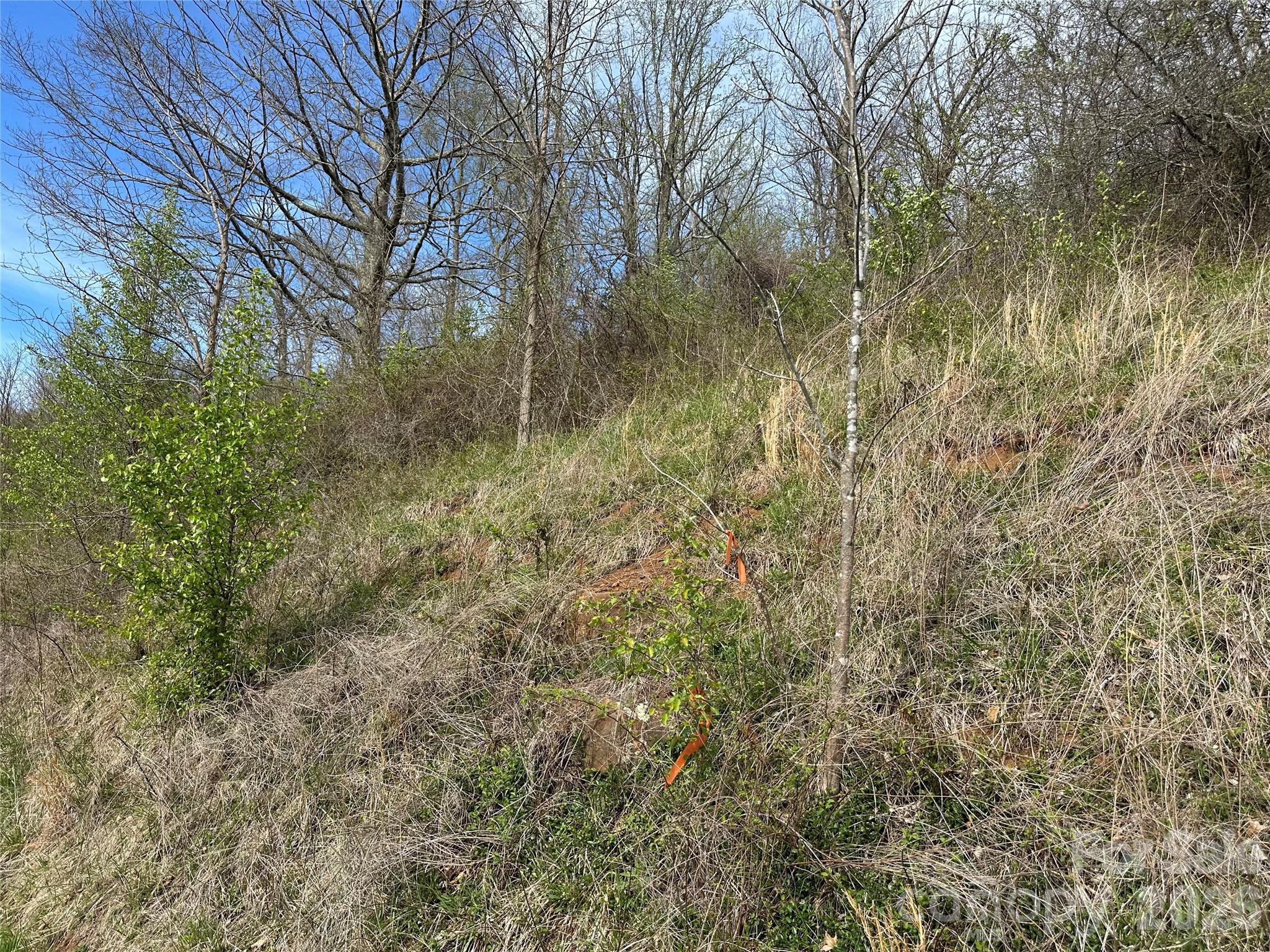 000 Sunset Mountain Road 12 Property Photo 12